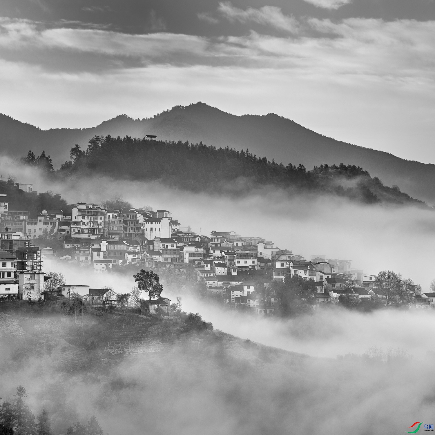 DSCF1845 1.tifg.jpgg.jpg