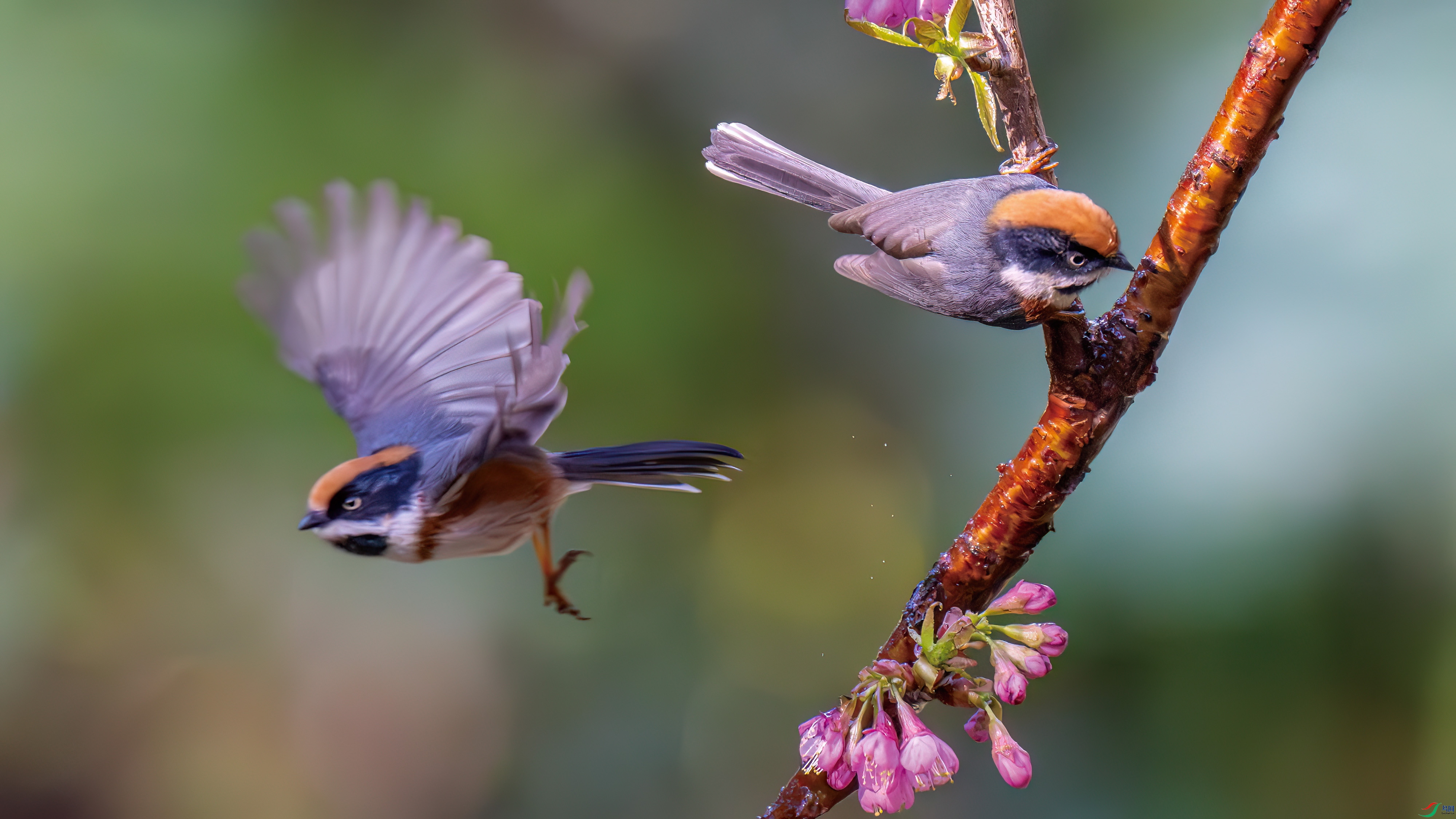 DSC_3381.jpg