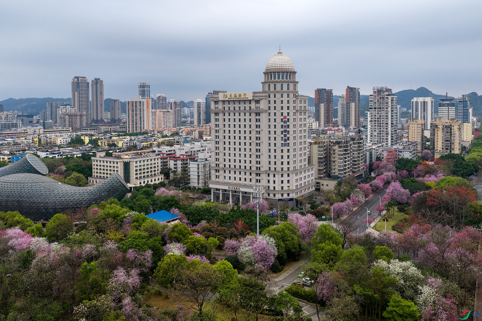 DJI_20260325073206_0080_D ����.jpg