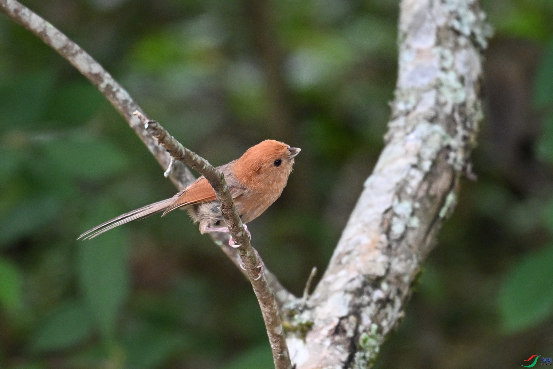 DSC_3206.JPG