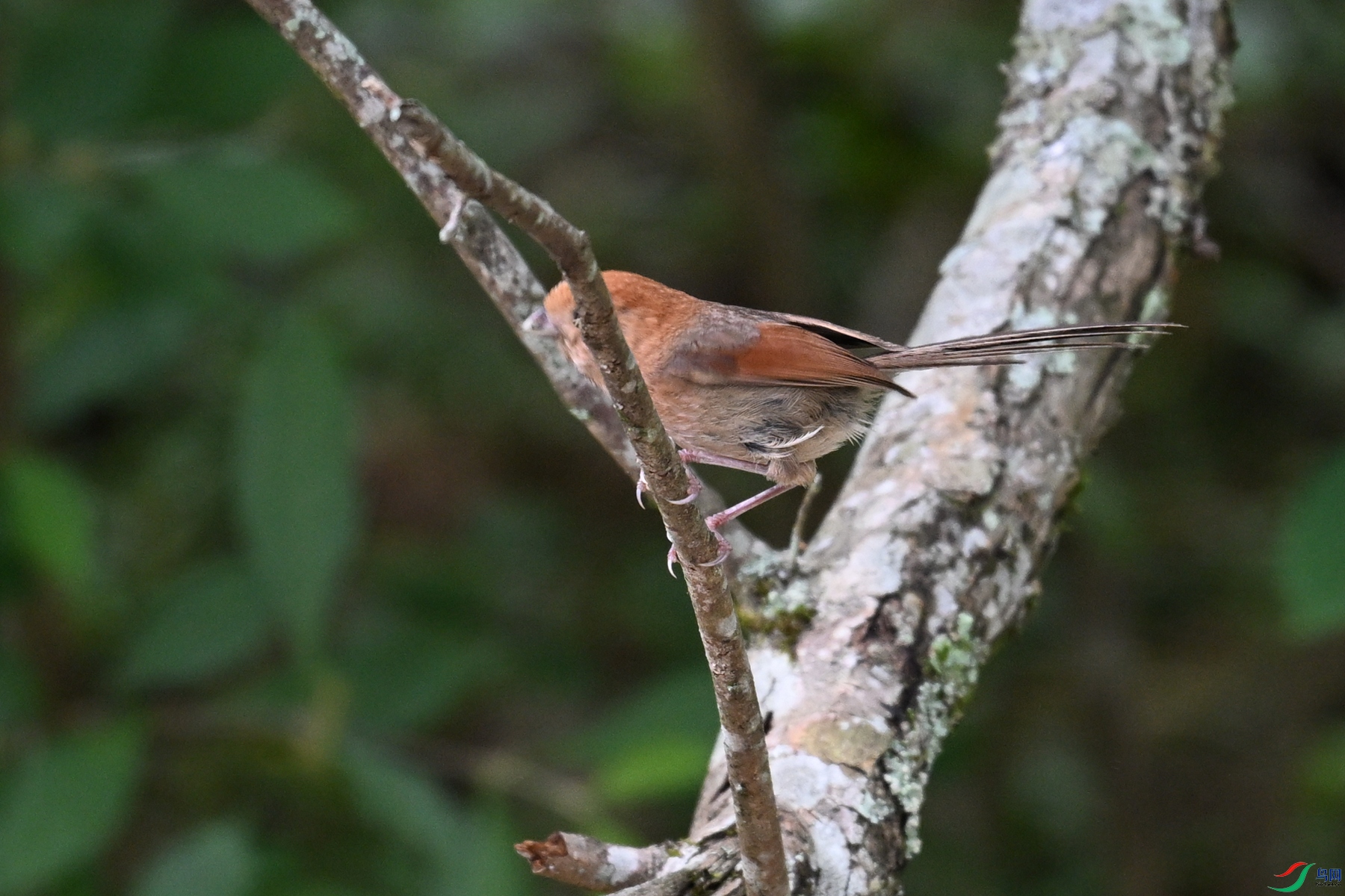 DSC_3203.JPG