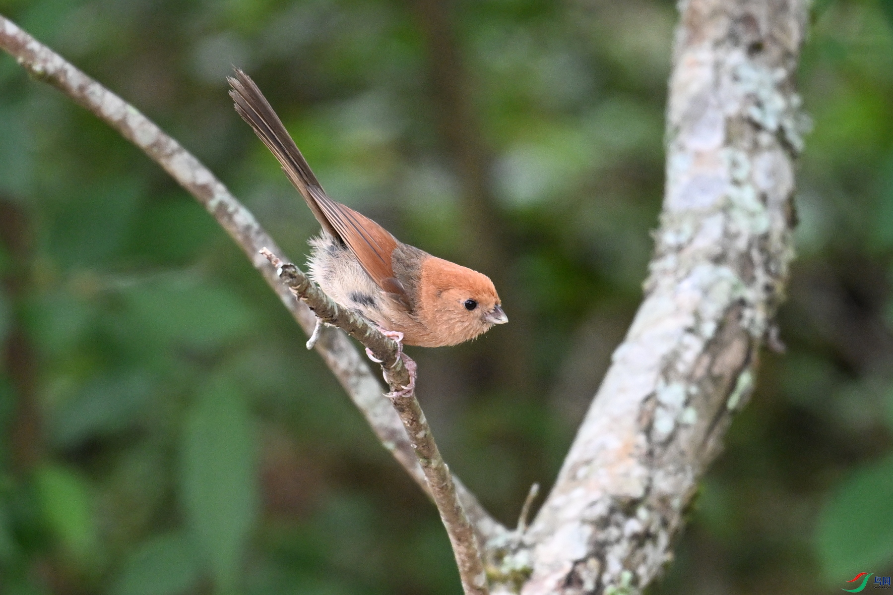 DSC_3233.JPG
