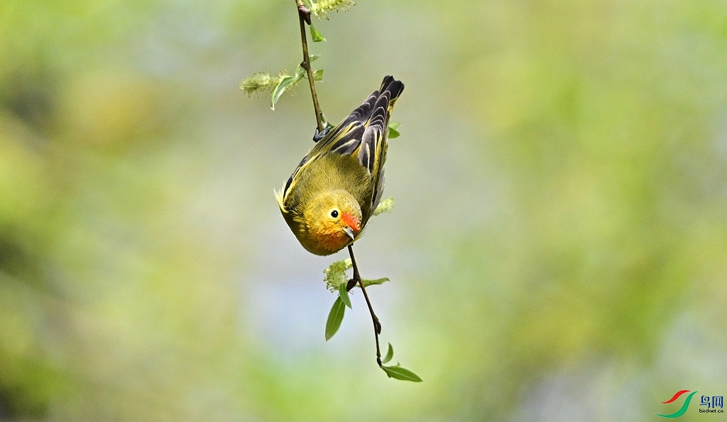 DSC_8315.JPG