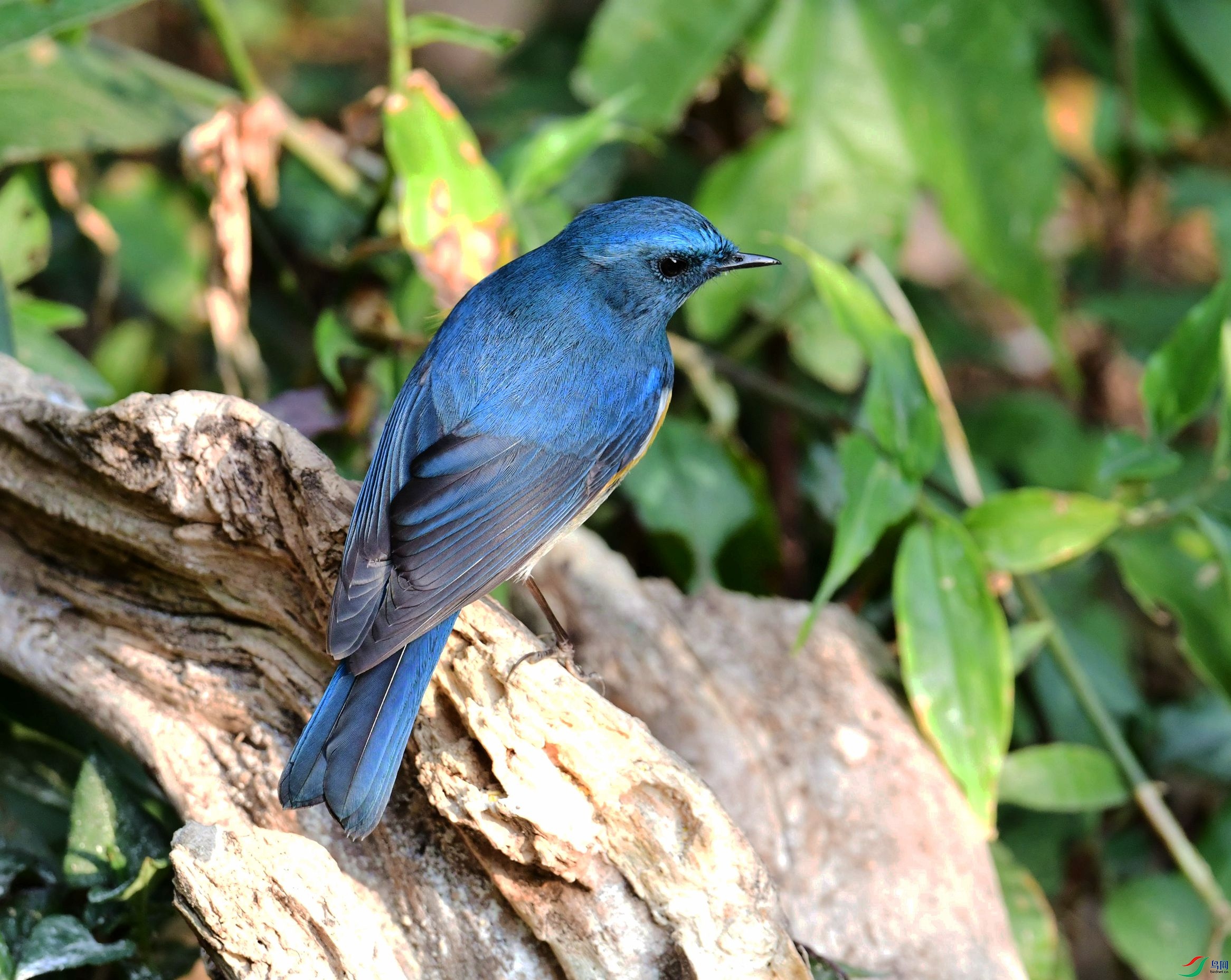 DSC_7561_����.jpg