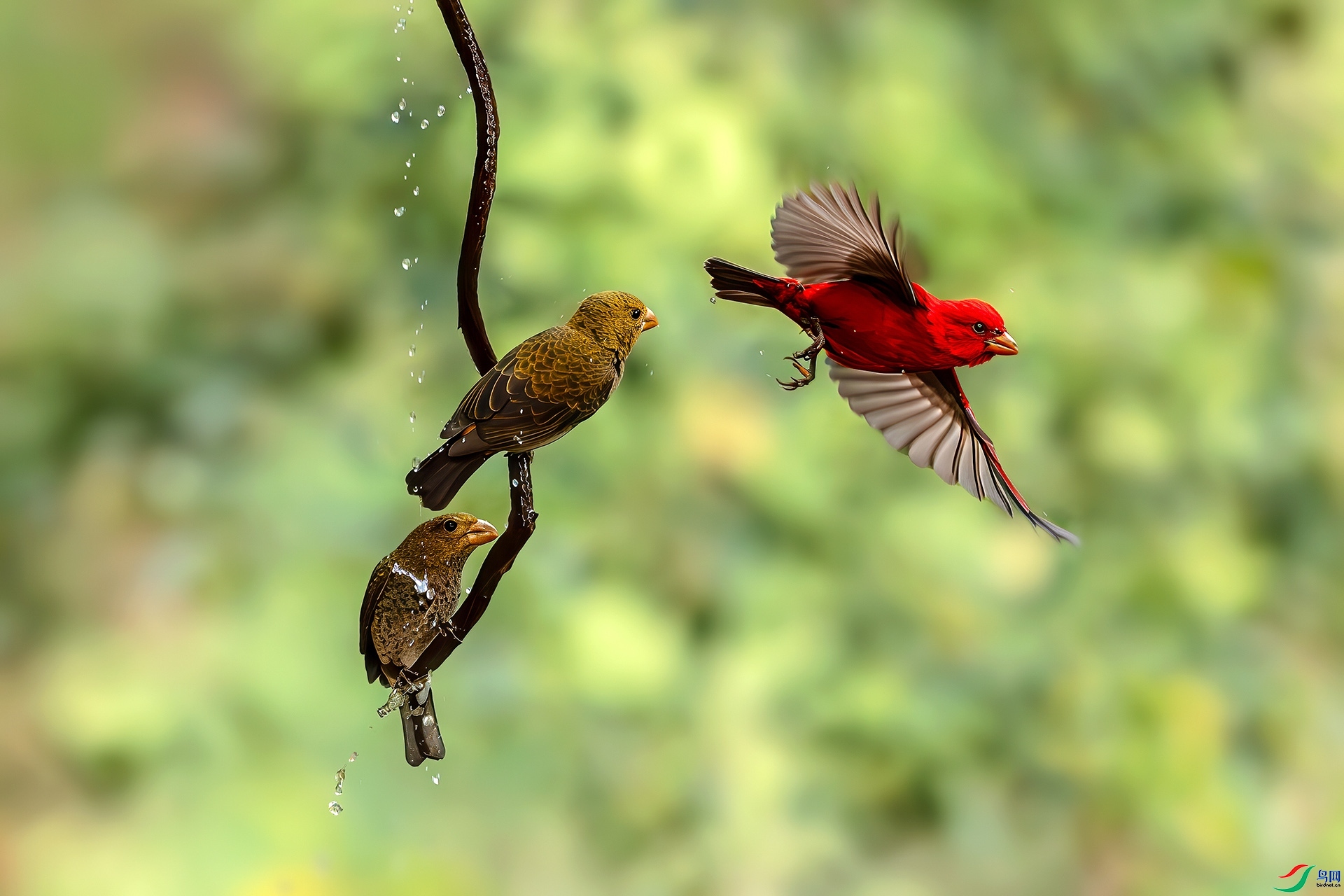 3.18�ɵ���ʦ��Ʒ   Ѫȸ��ף���ٻ���Ӱʦ������.jpg