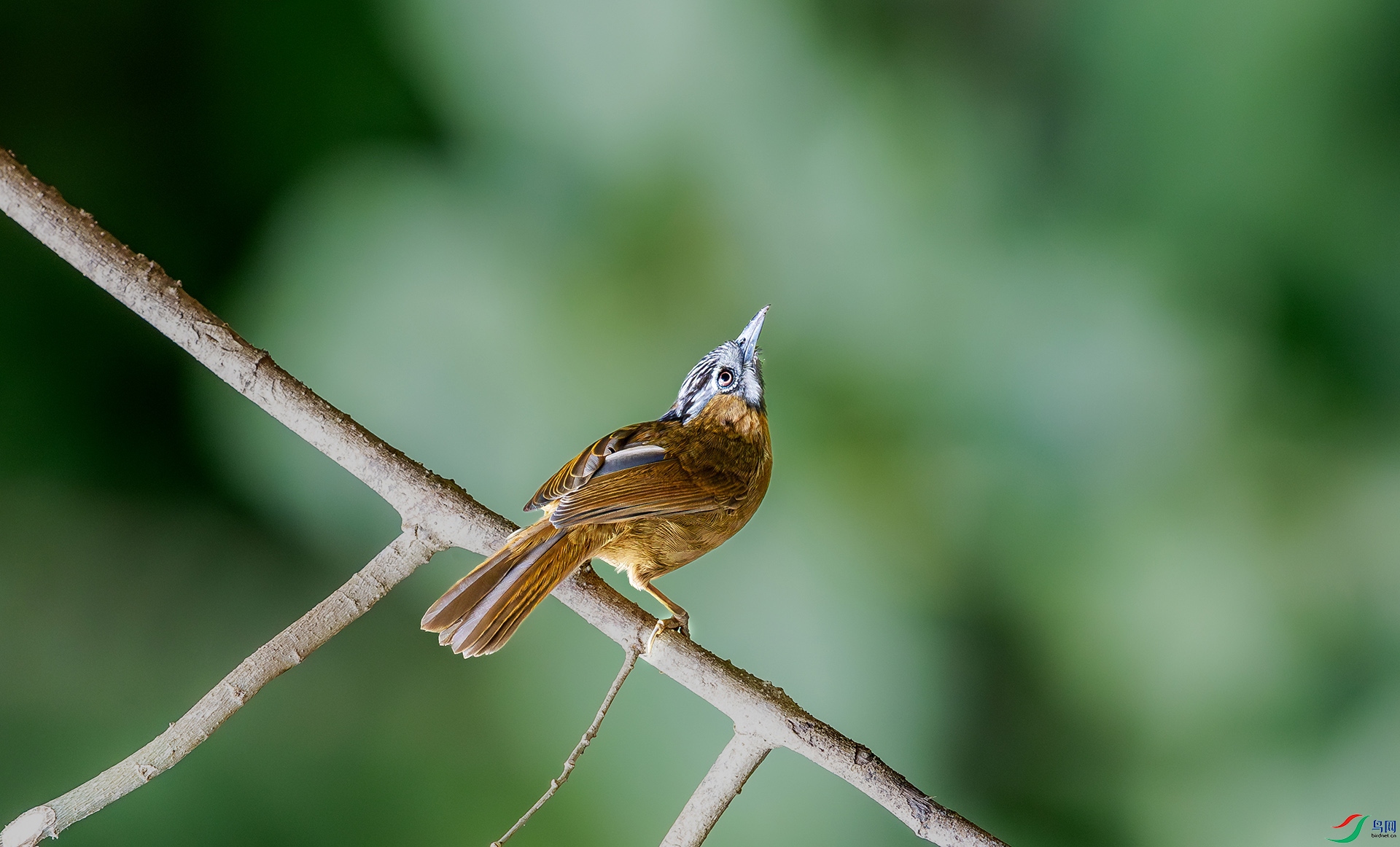 _26_5971 ����.jpg