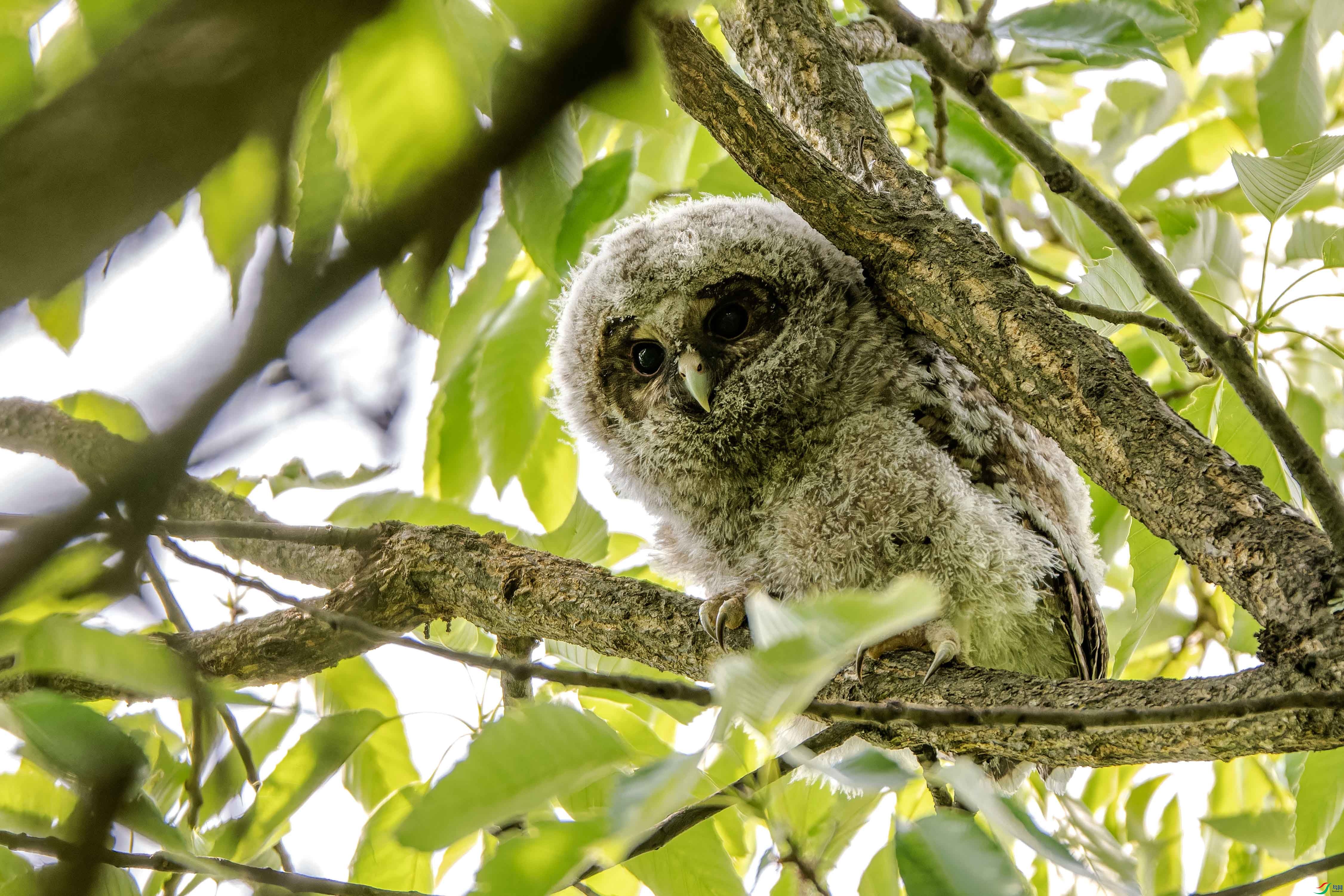 DSC_8333-NEF_DxO_DeepPRIMEXD ���� 2.jpg