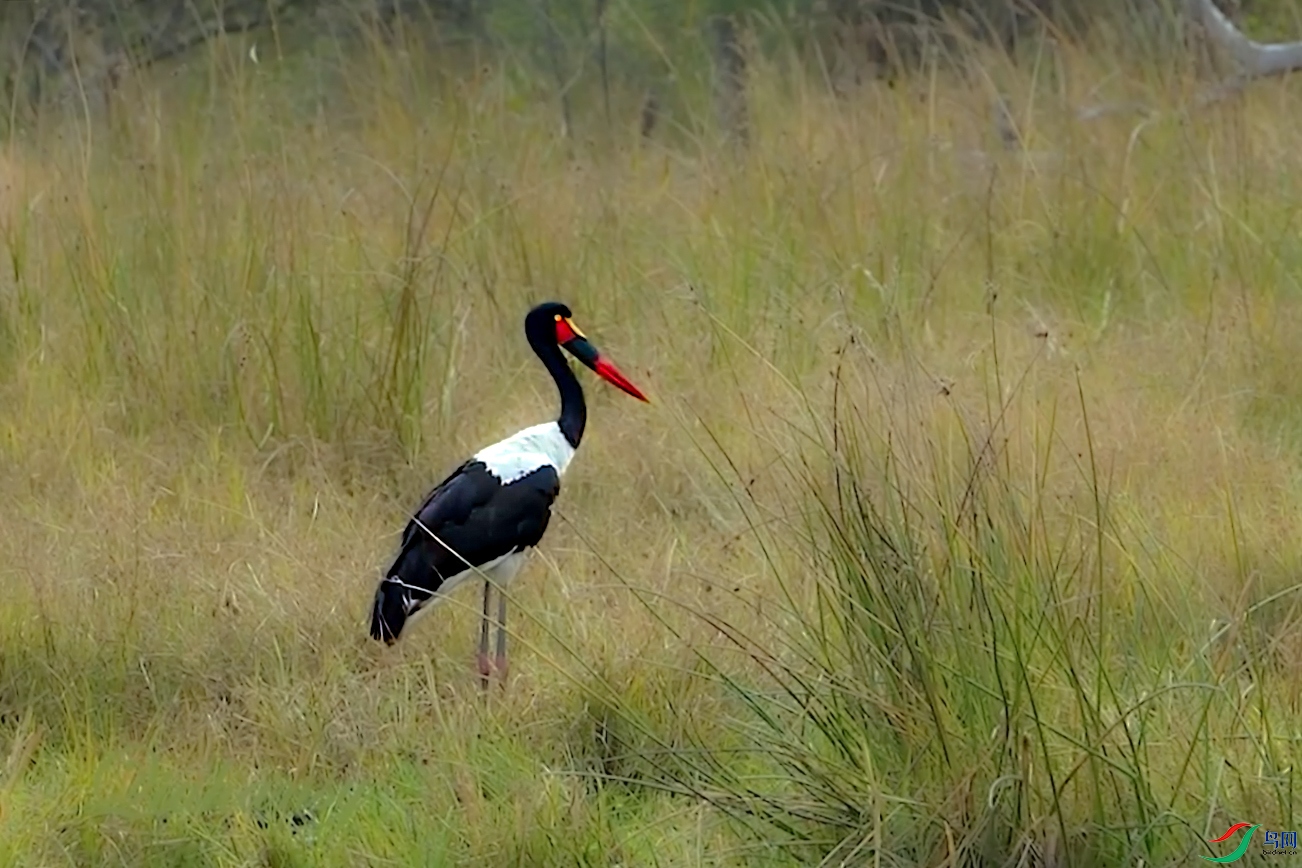 ΢��ͼƬ_2026-03-29_194721_616 ����.jpg