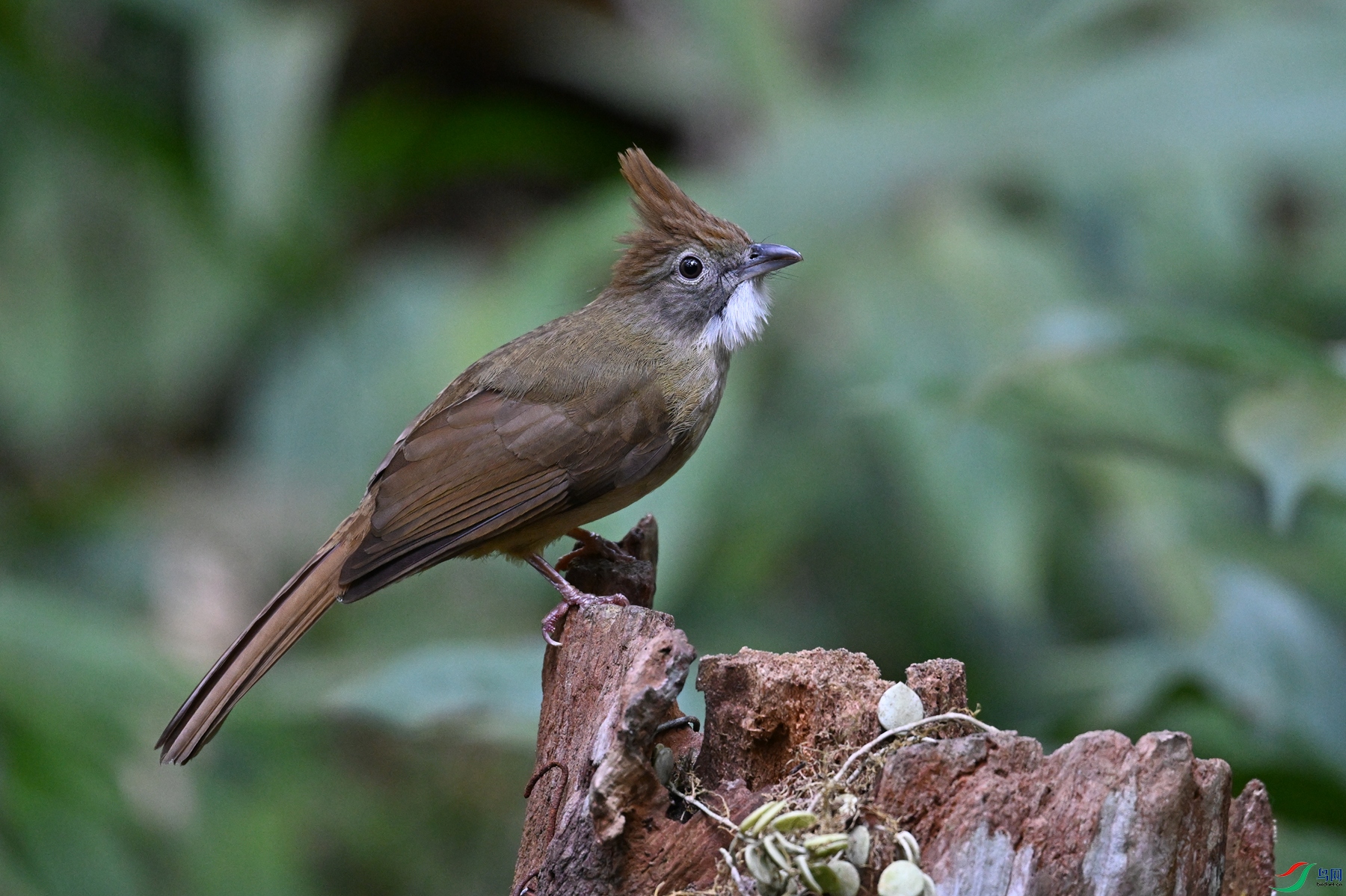 DSC_7149.JPG