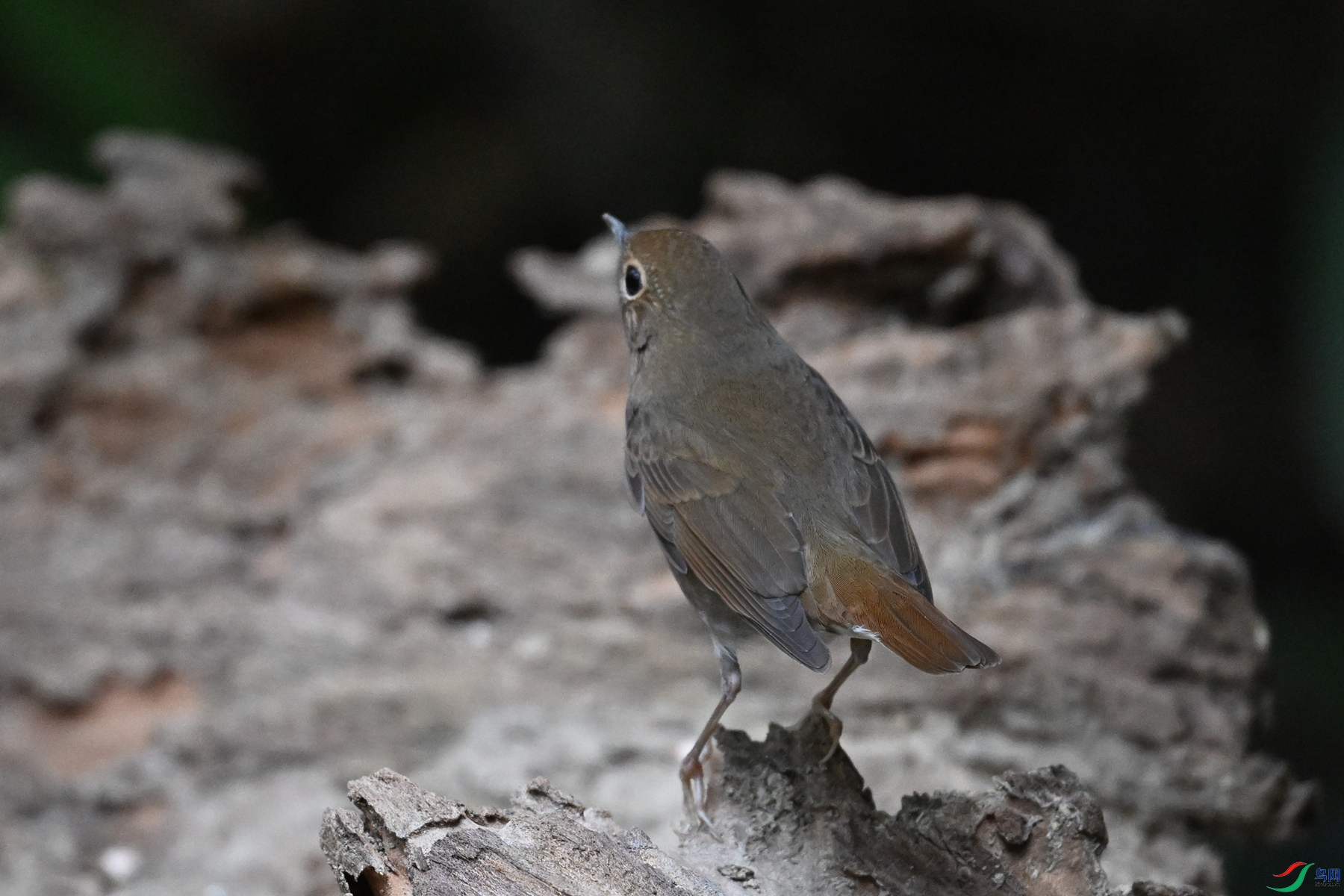 DSC_7154.JPG