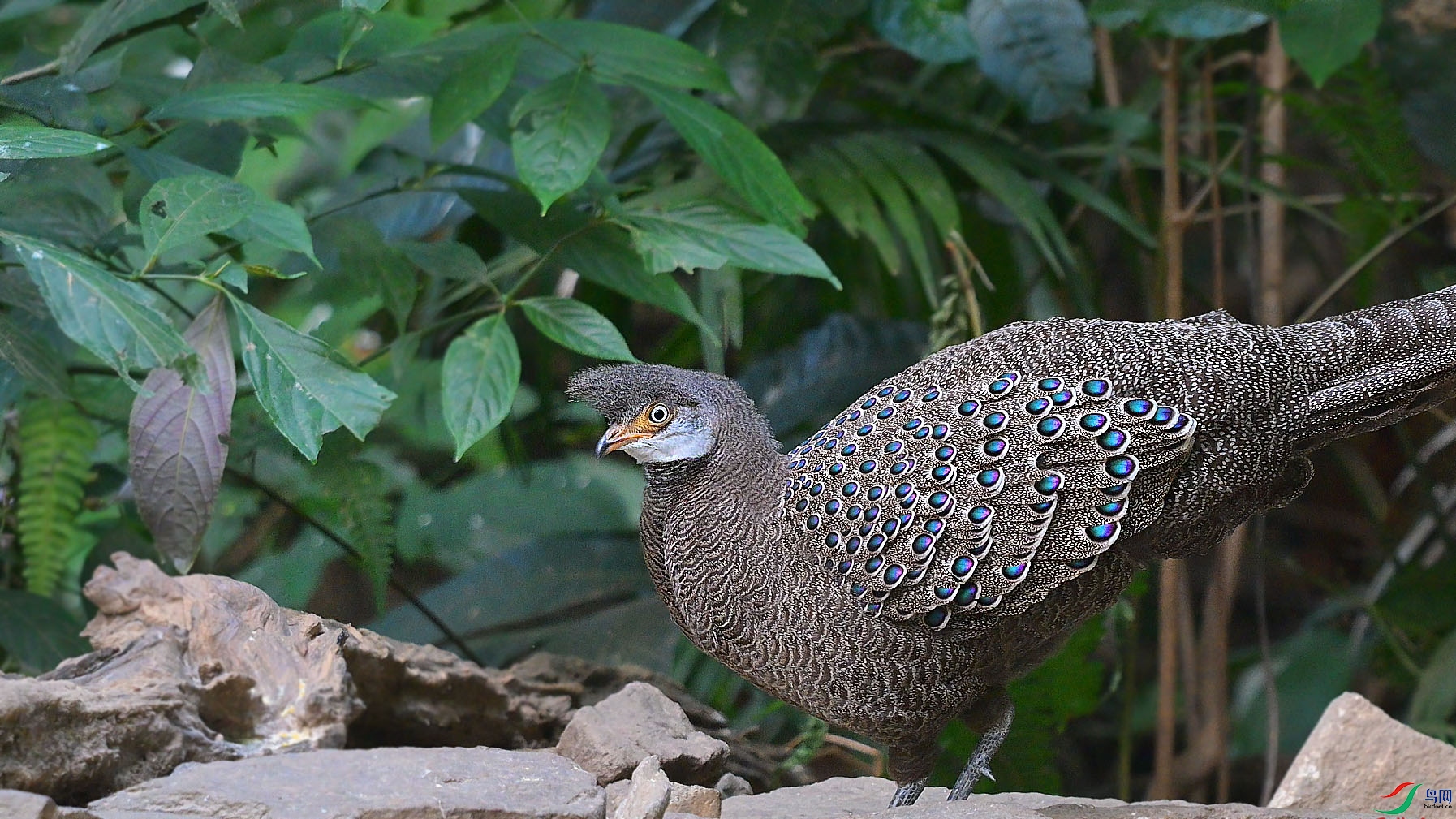 {82AD4D47-D377-4566-863C-4D07F1C96131} ����.jpg