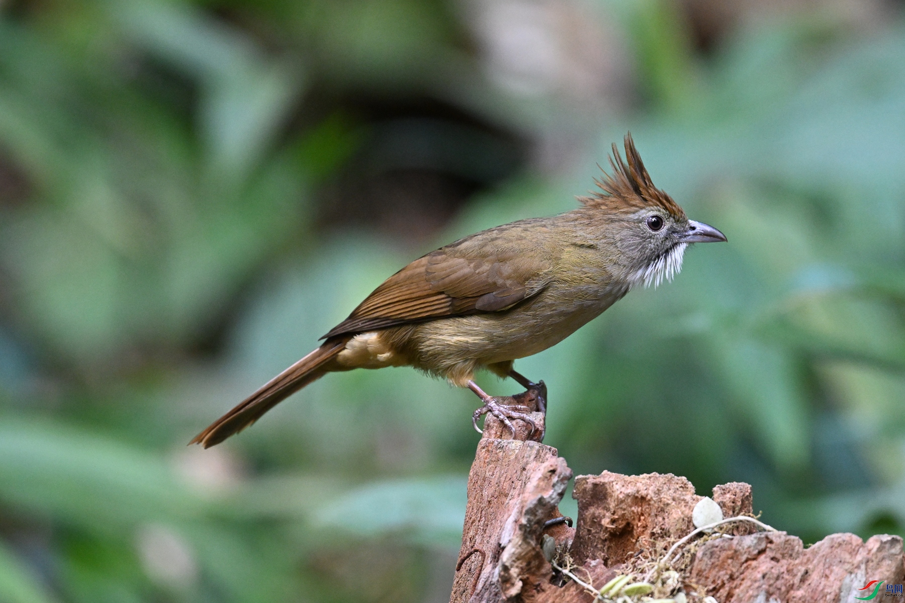 DSC_7220.JPG