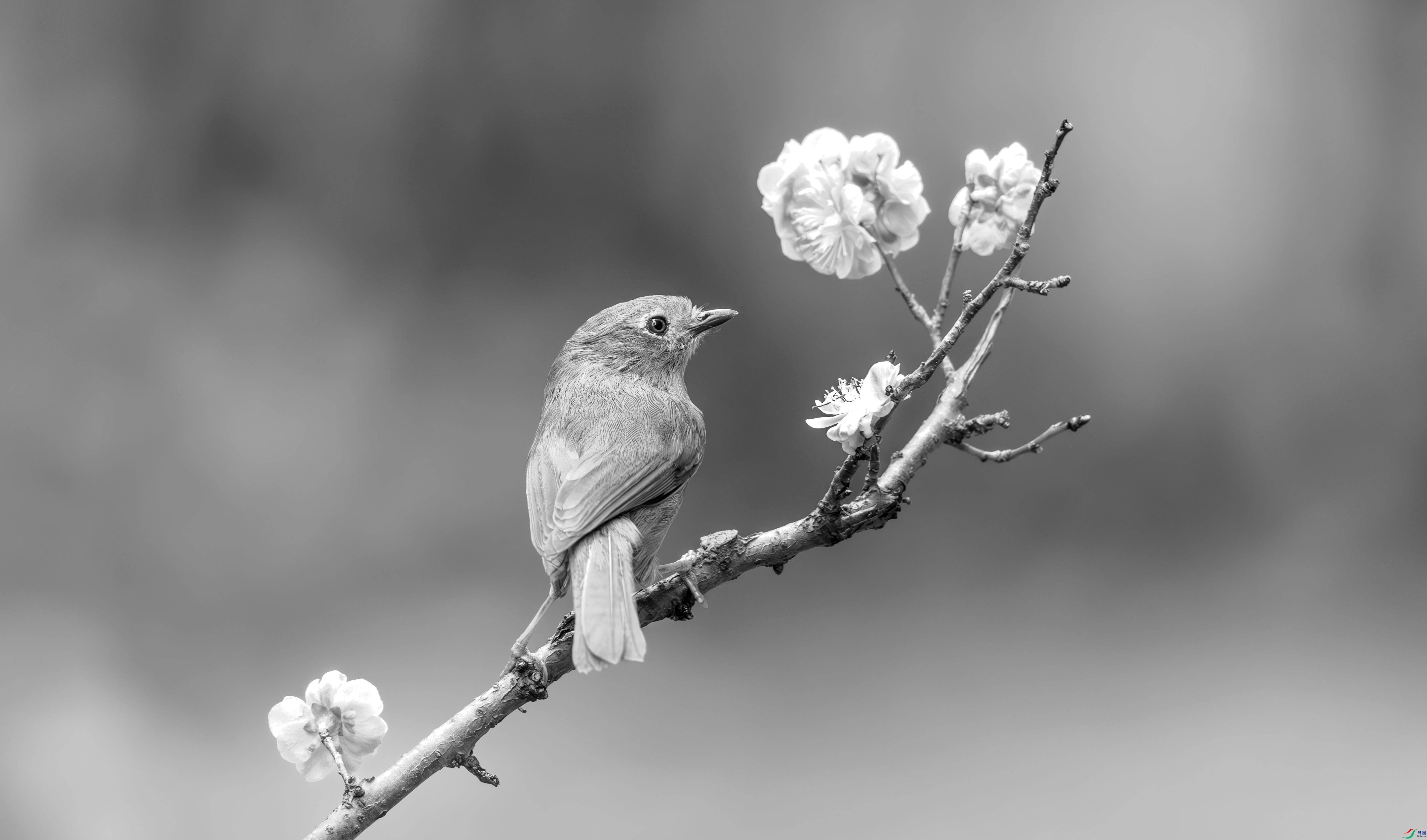 412A3682-����ǿ-����-1-2_����=00.jpg