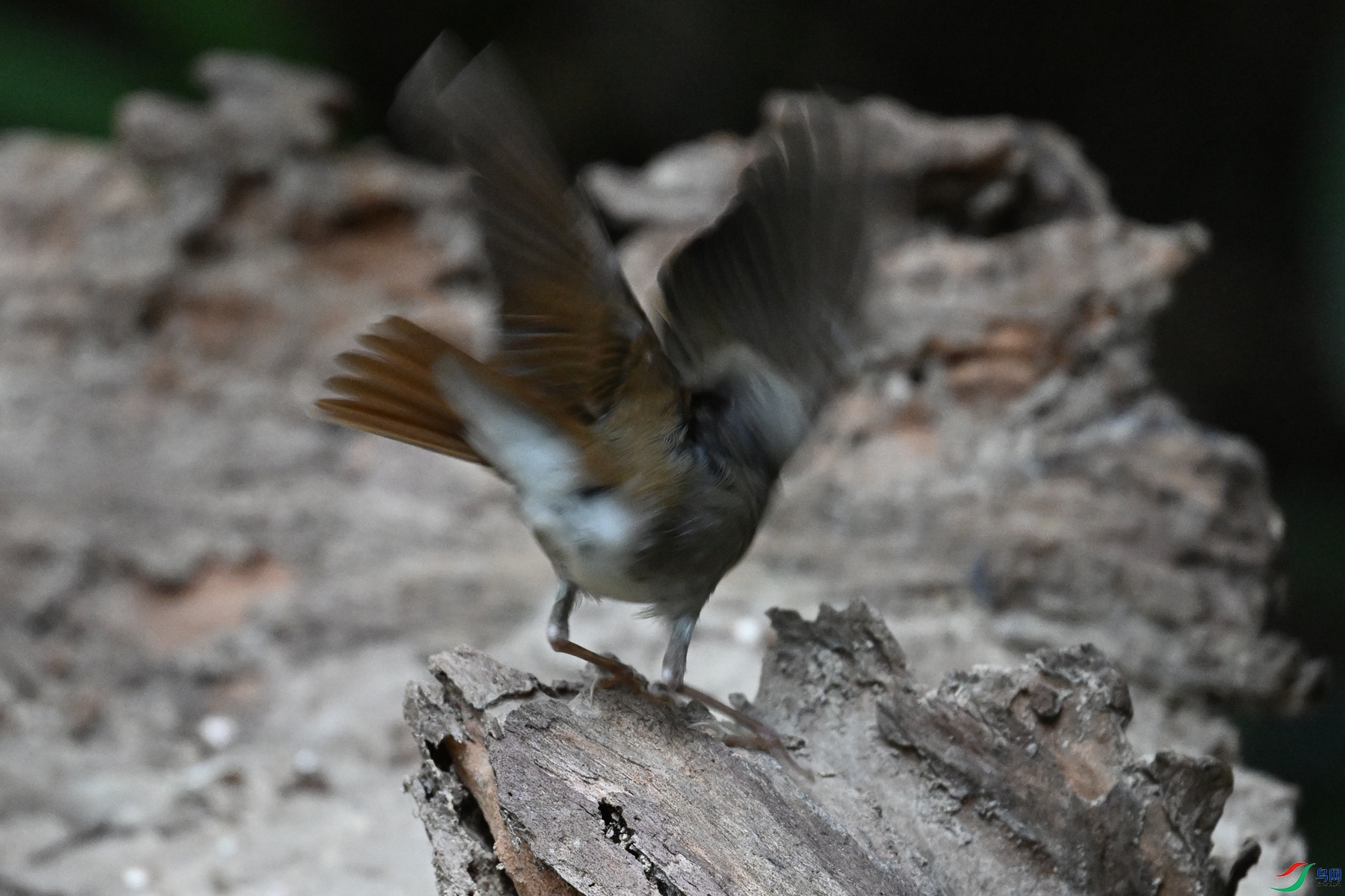 DSC_7179.JPG