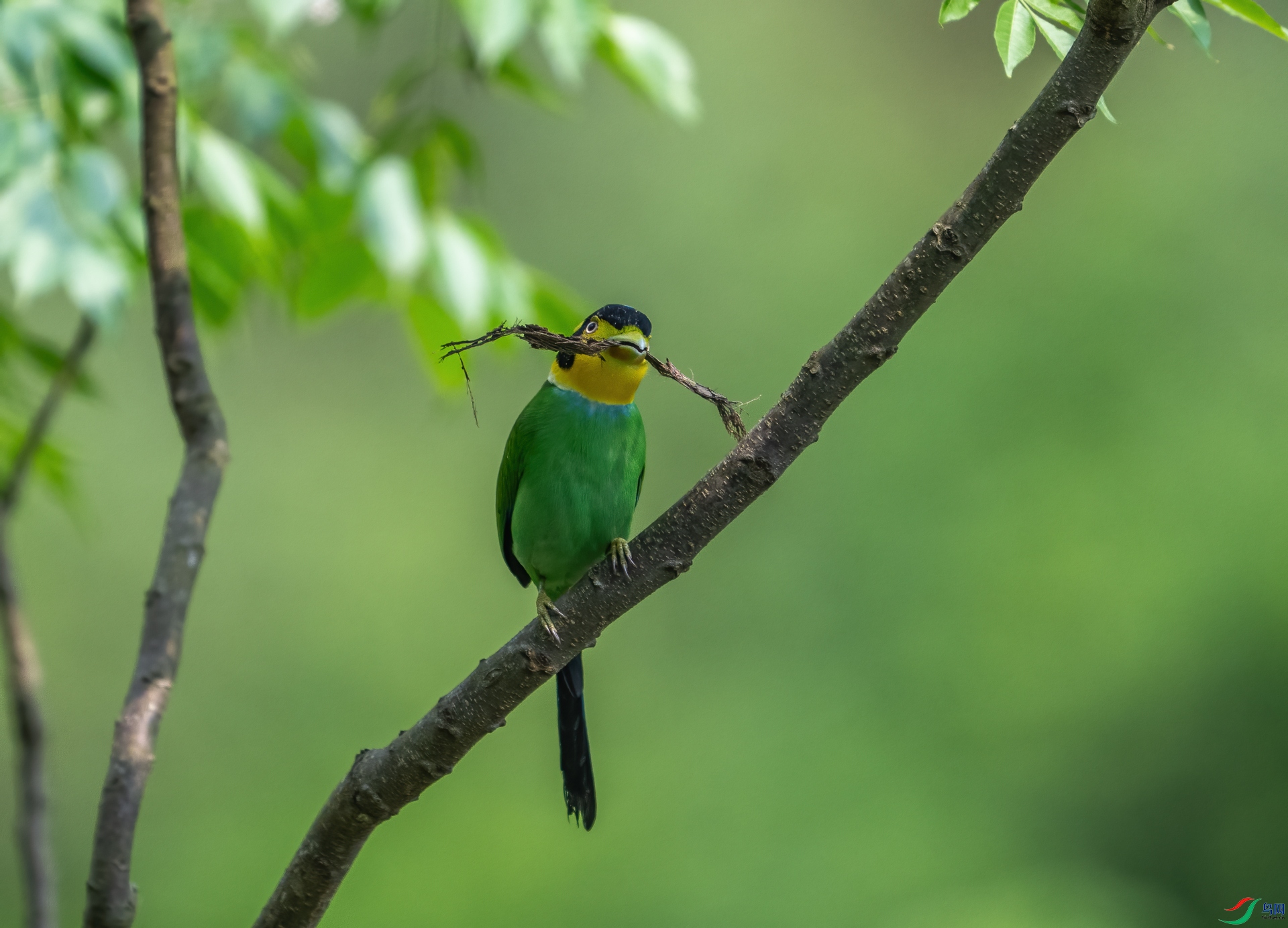 DSC_9093-1.jpg