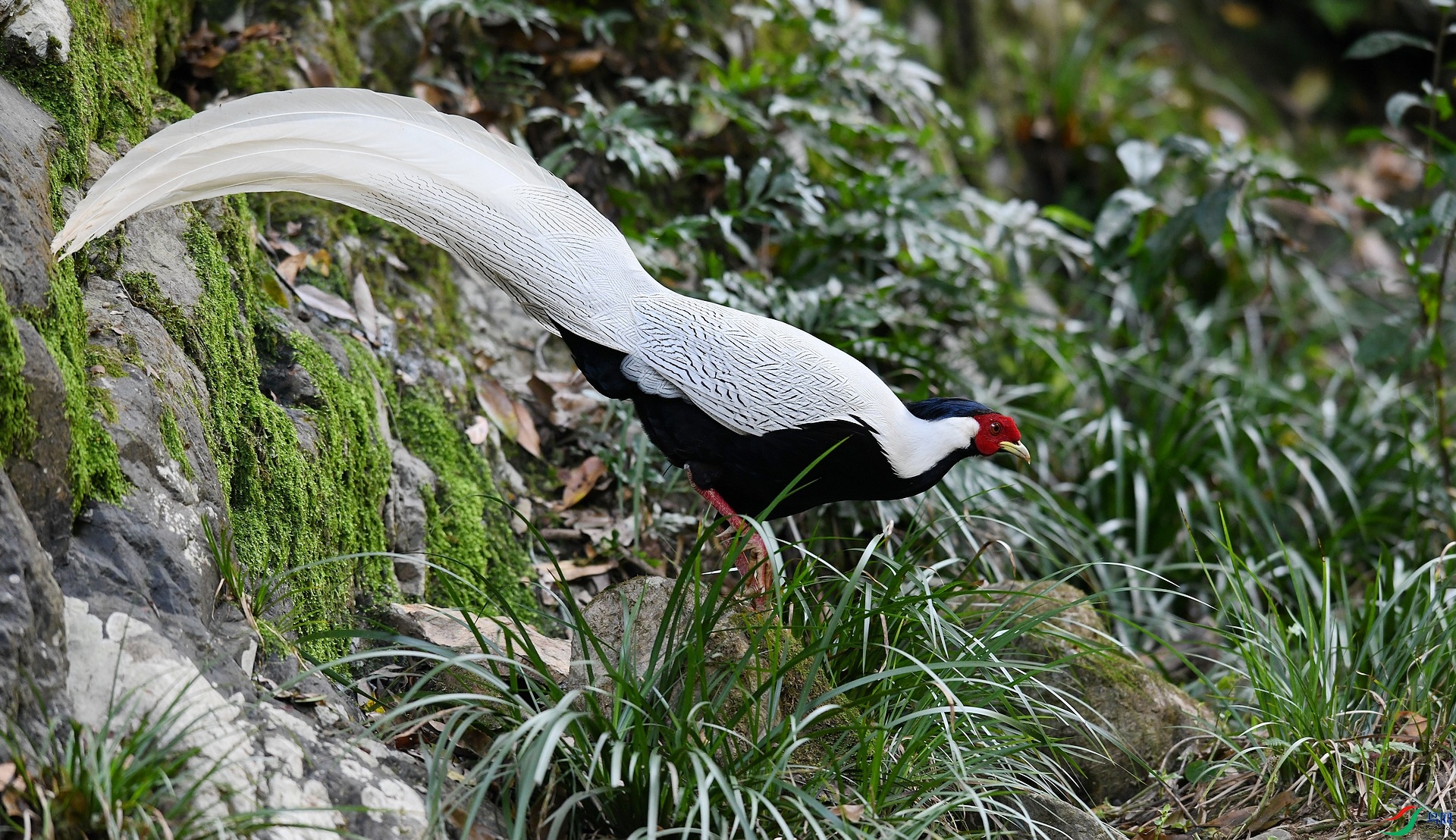 DSC_7855.jpg