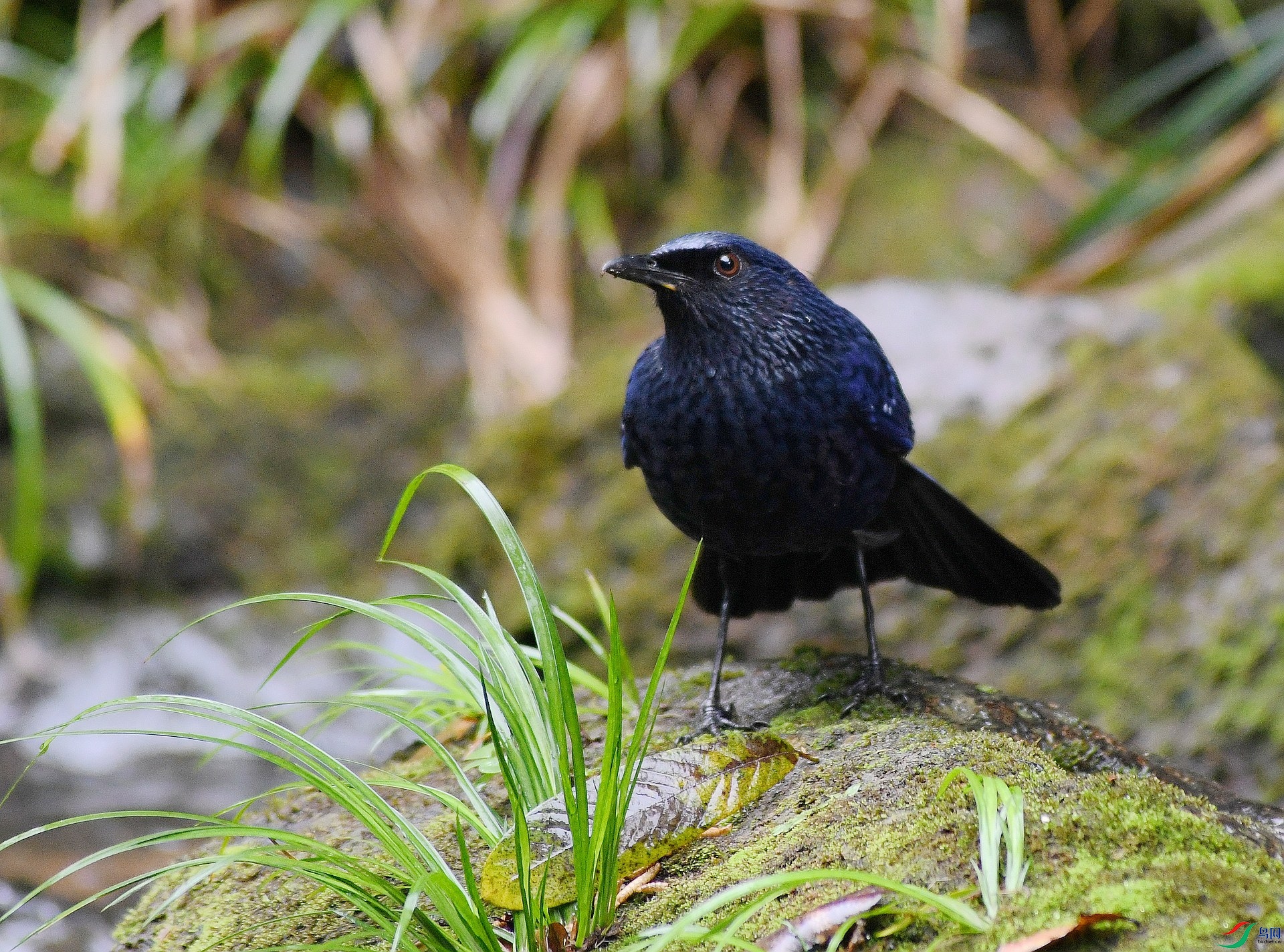 DSC_7889.jpg