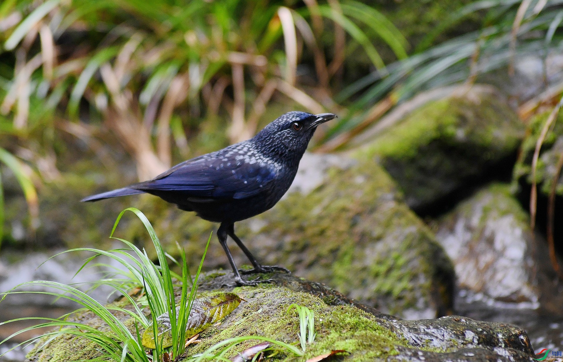 DSC_7895.jpg