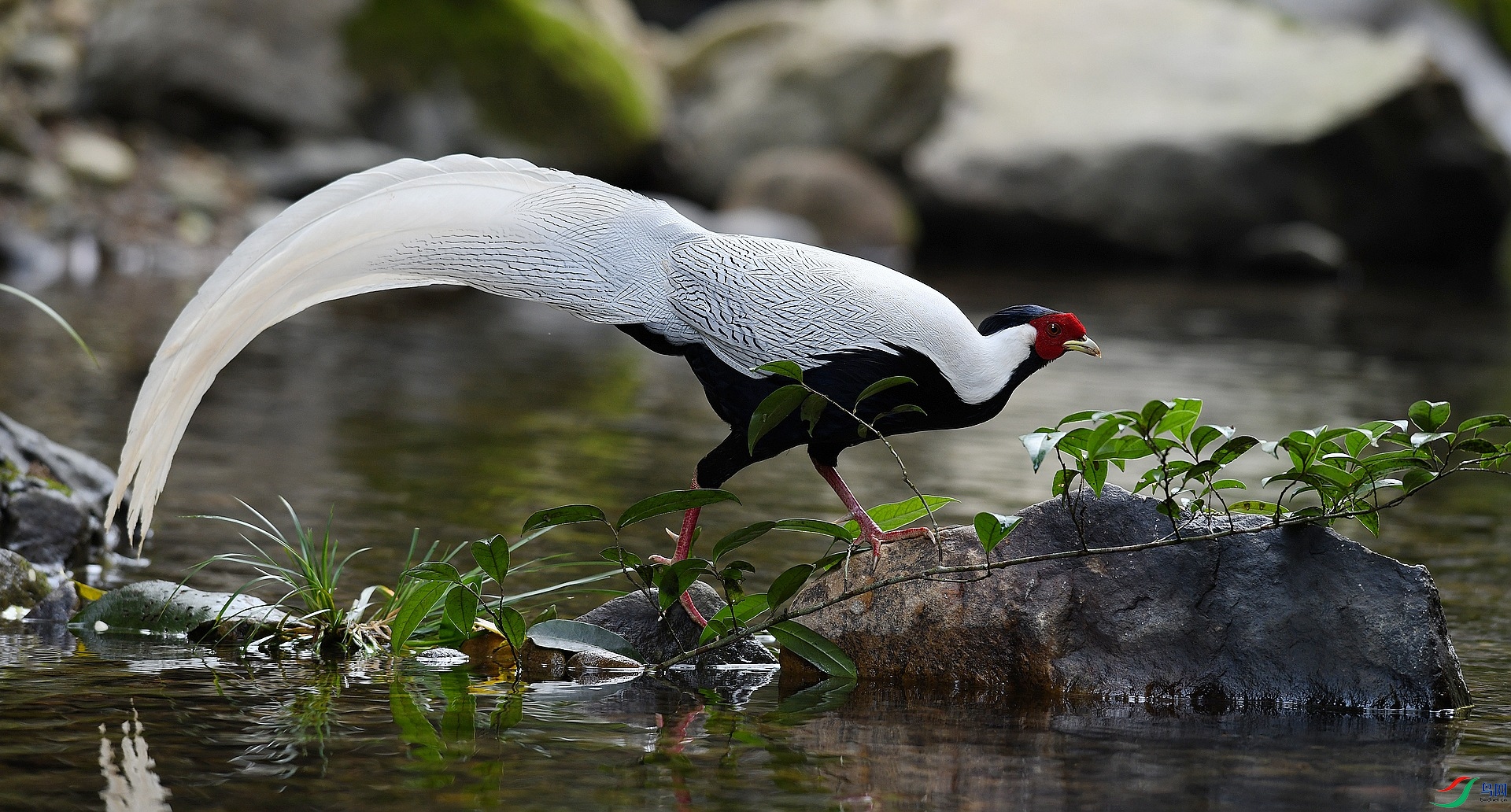 DSC_7920.jpg