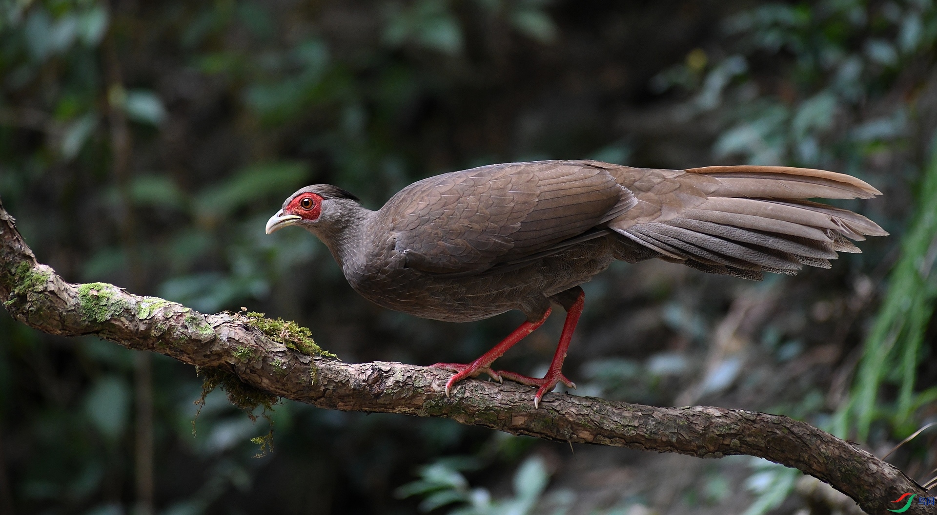 DSC_7951.jpg