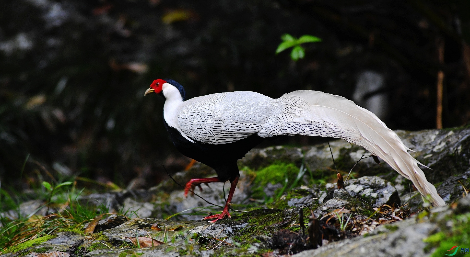 DSC_8674.jpg