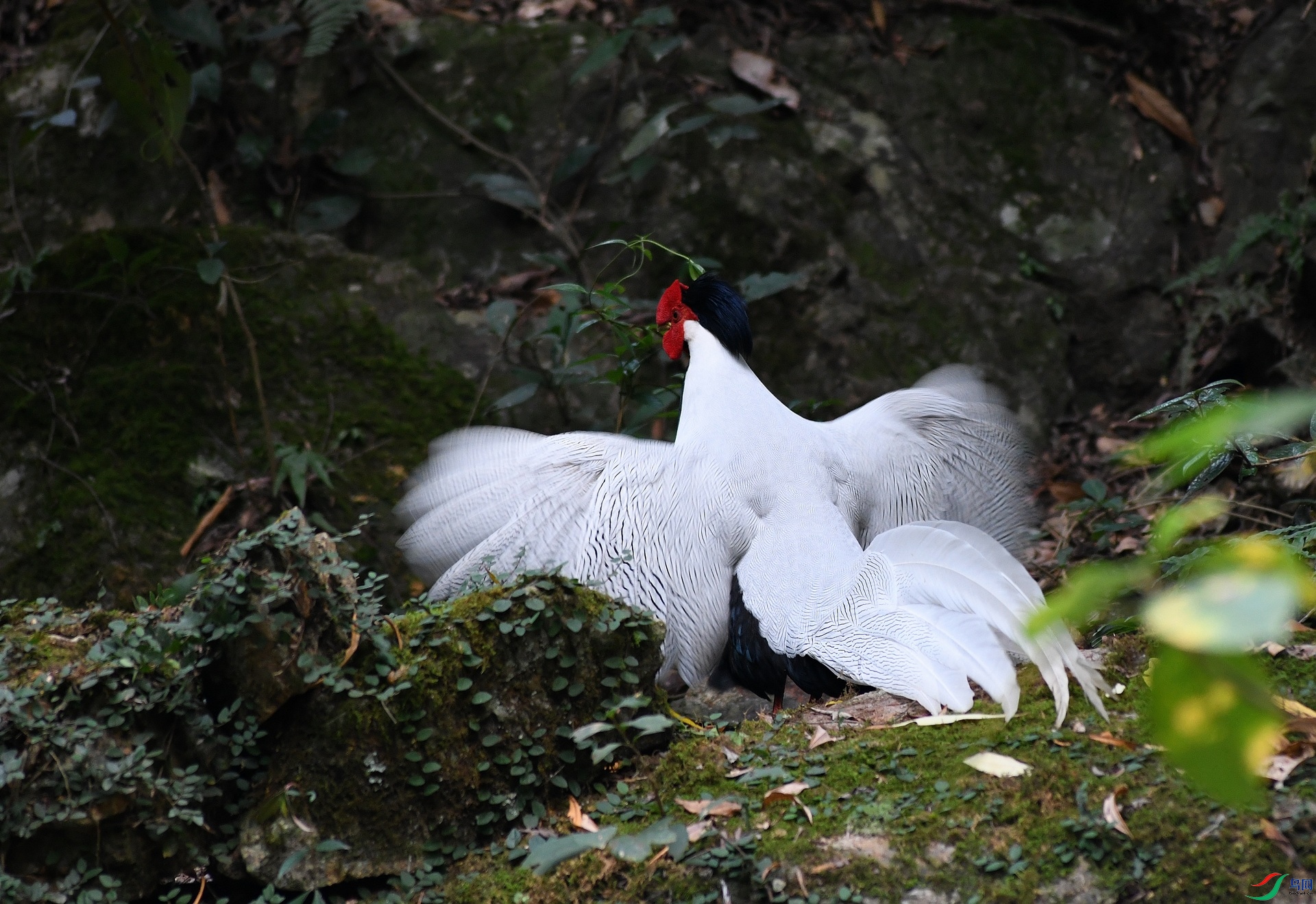 DSC_8191.jpg