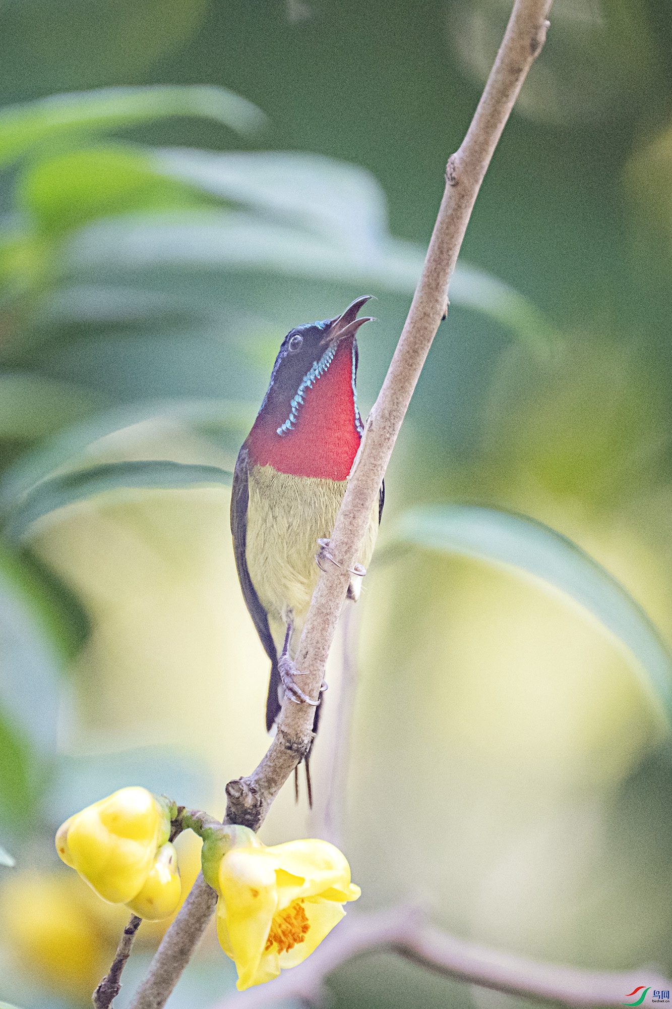 DSC_6671.jpg