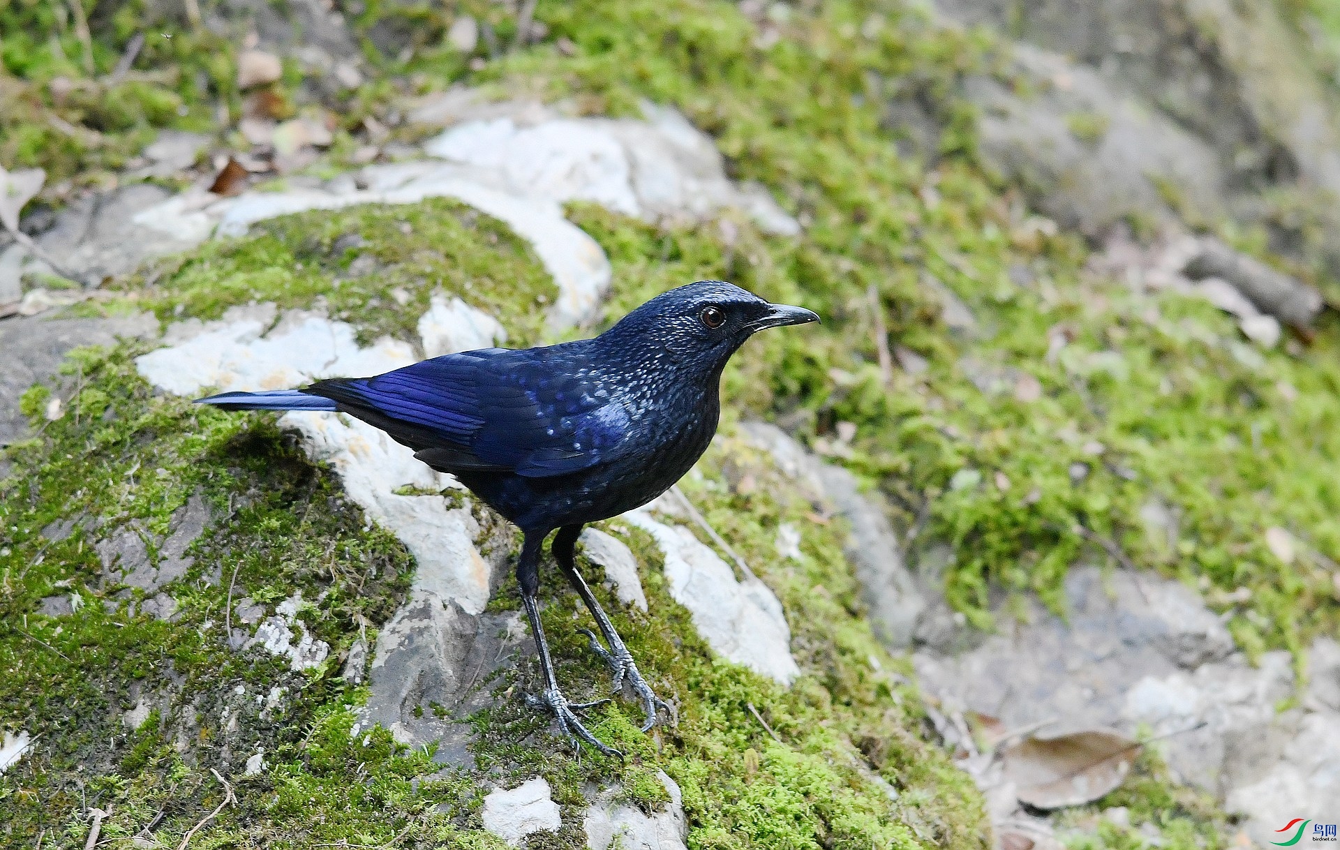 DSC_8186.jpg