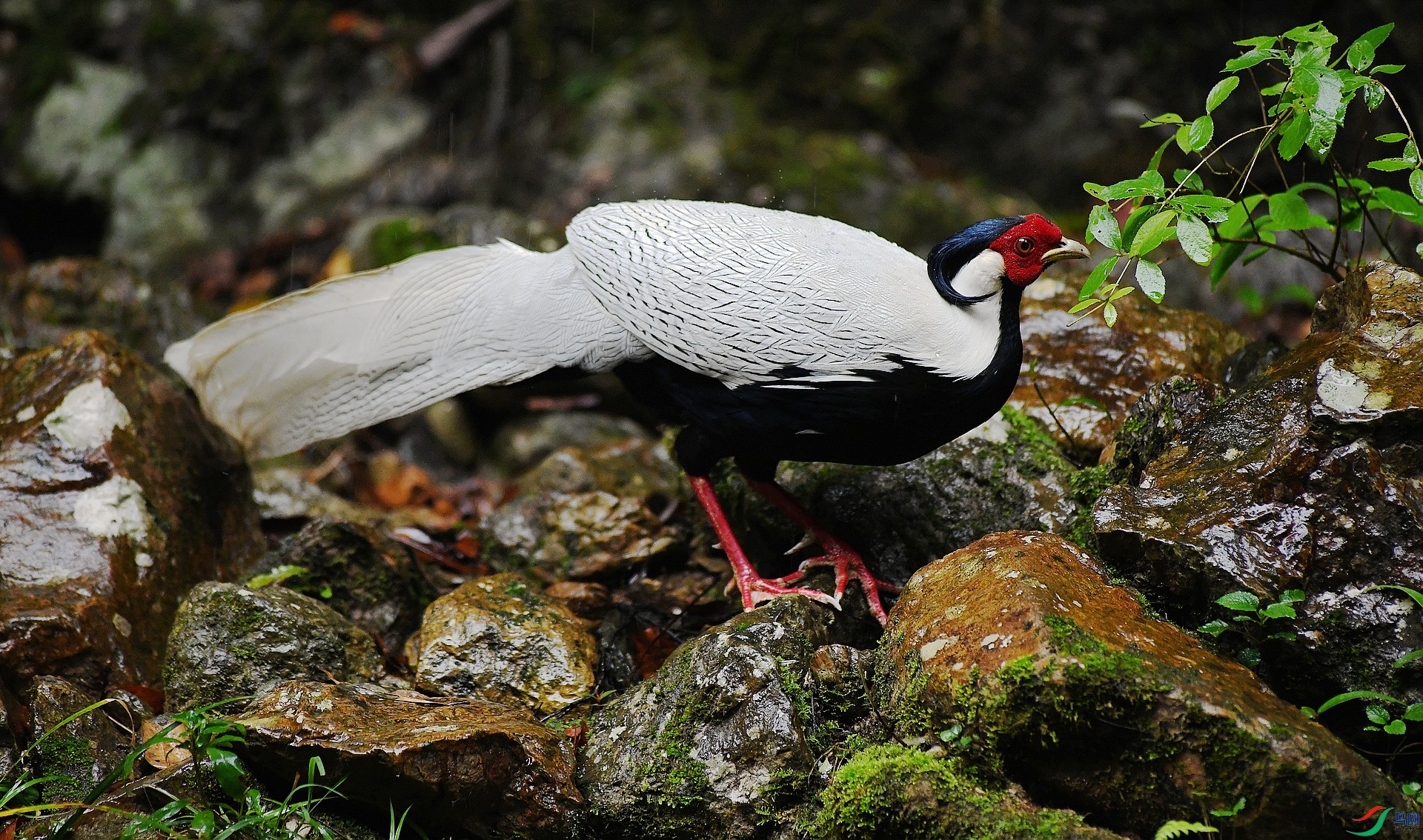 DSC_8265.jpg