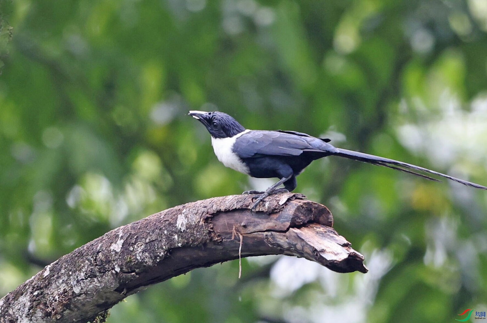 4K8A8706ab.jpg