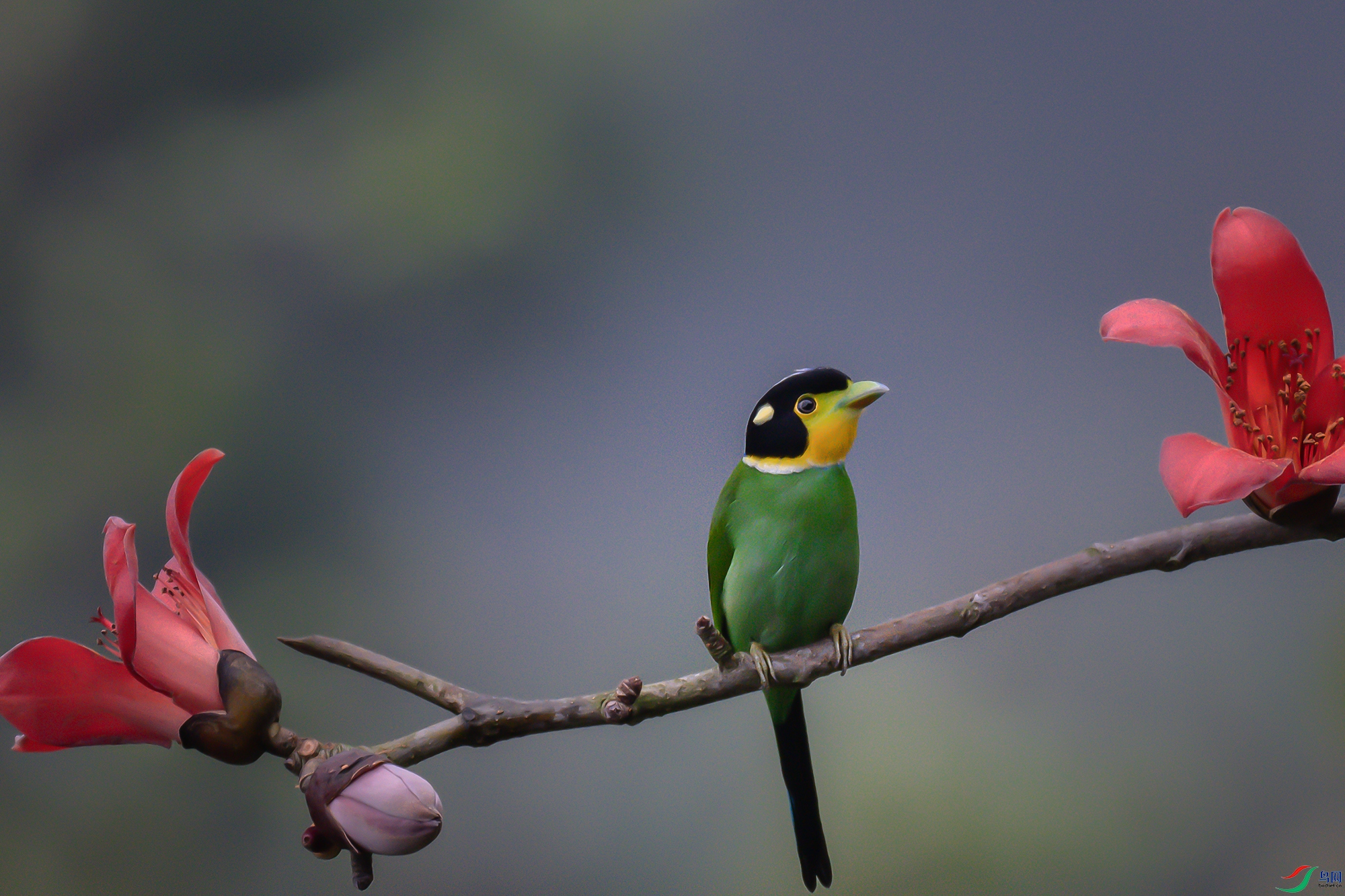 DSC_7405-1 ����.jpg