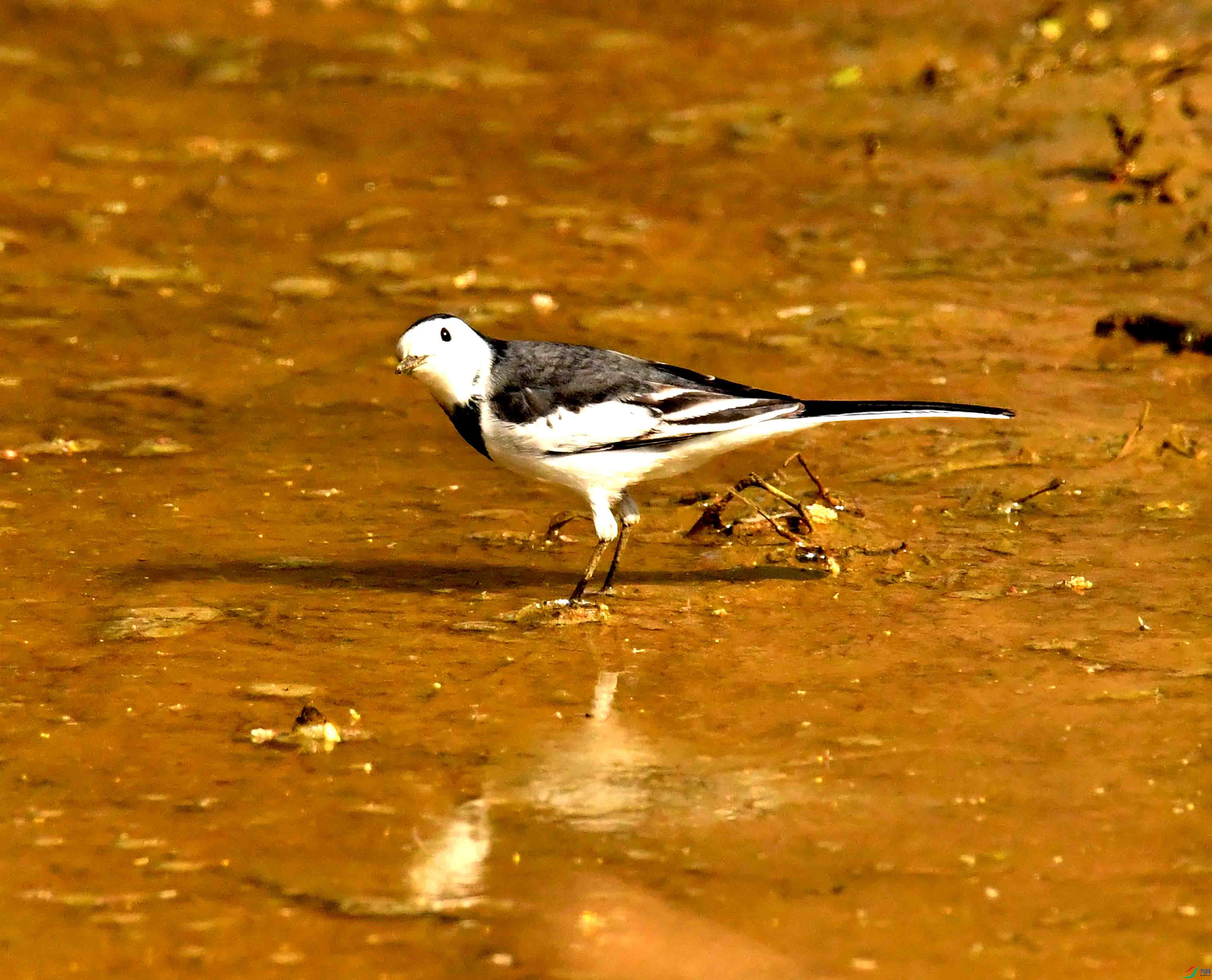 DSC_2032.JPG