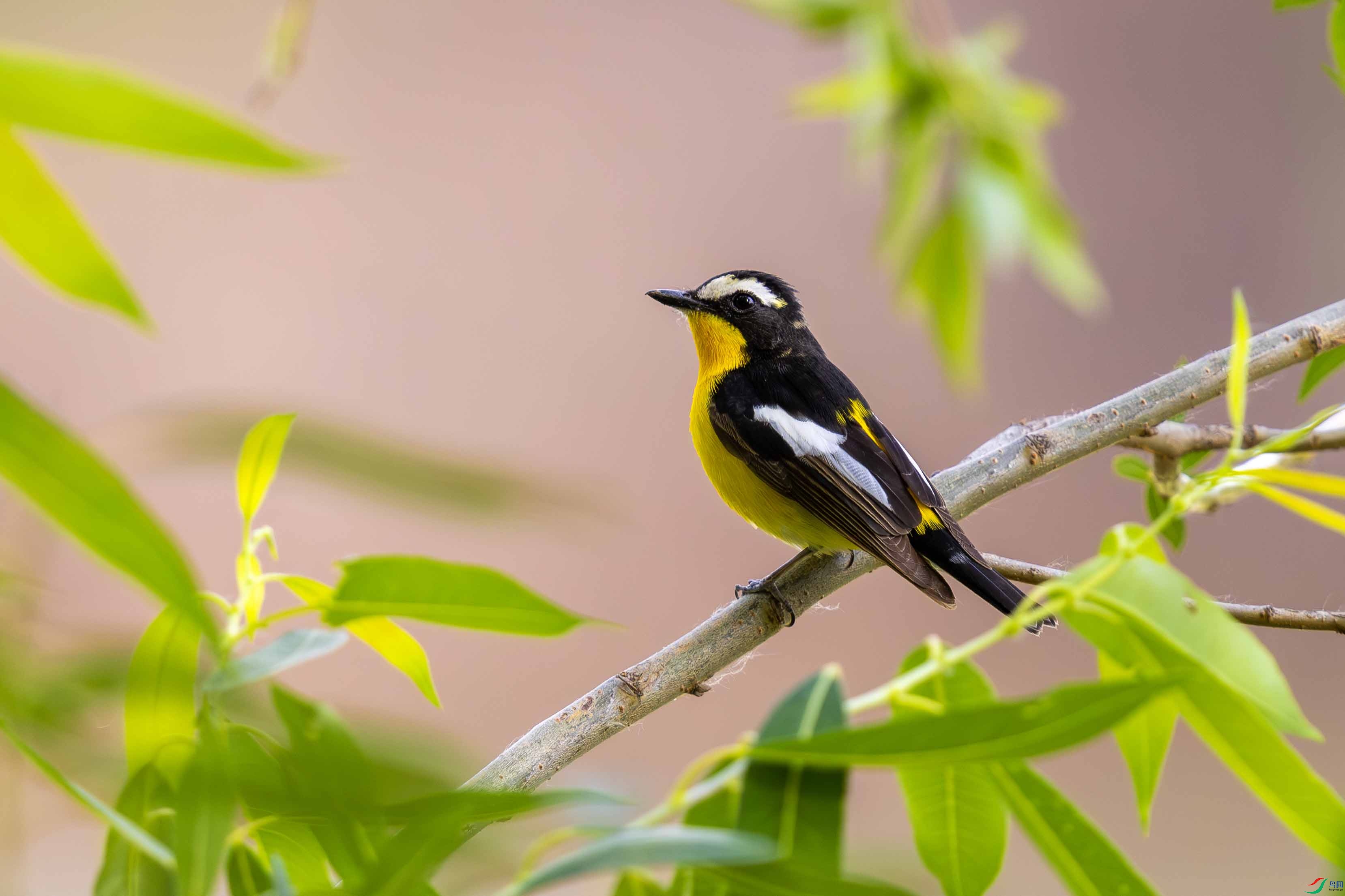 _L4A2600 ����.jpg