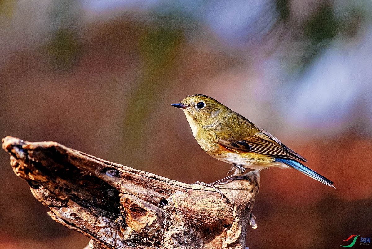 DSC_6027.jpg