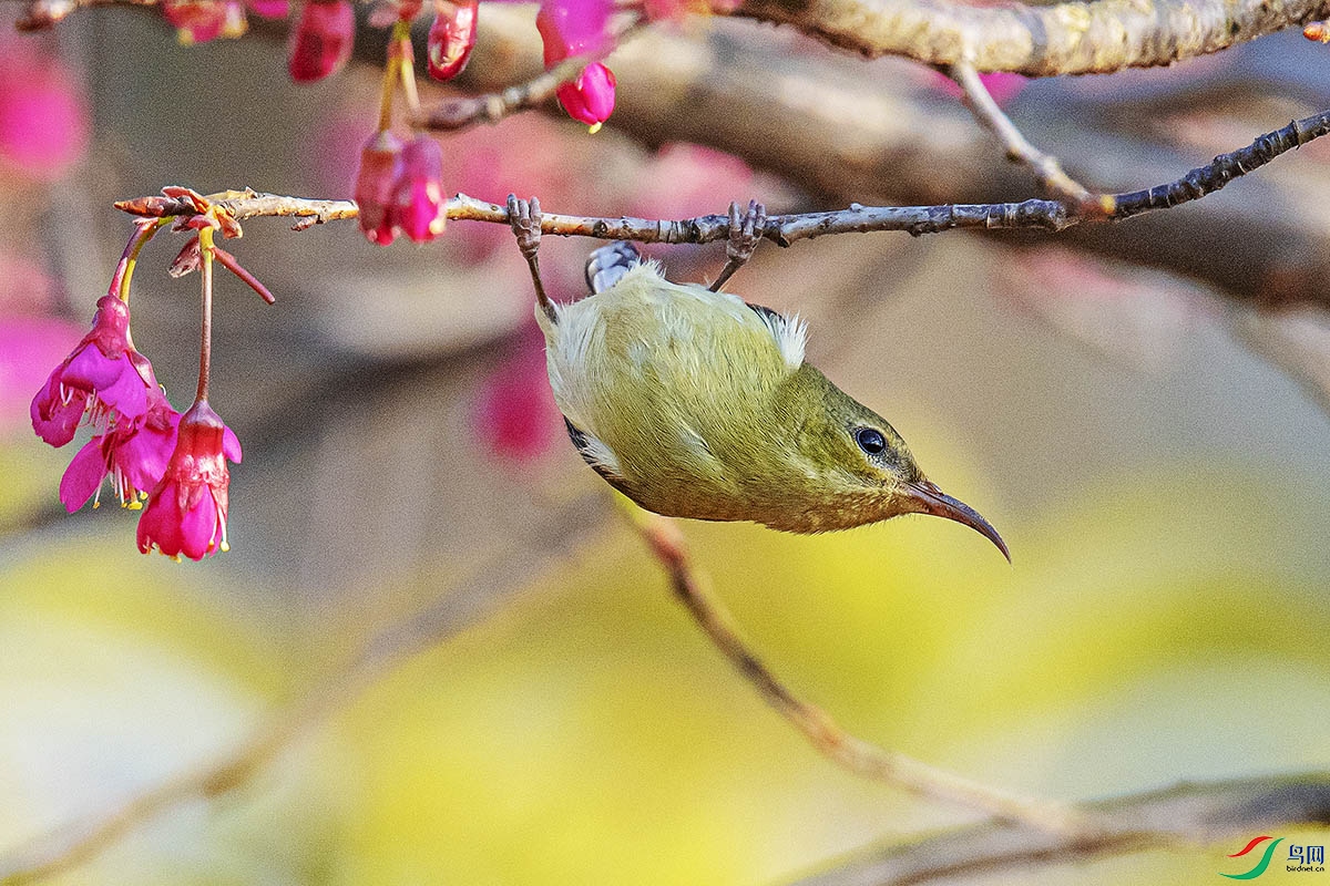DSC_0735.jpg