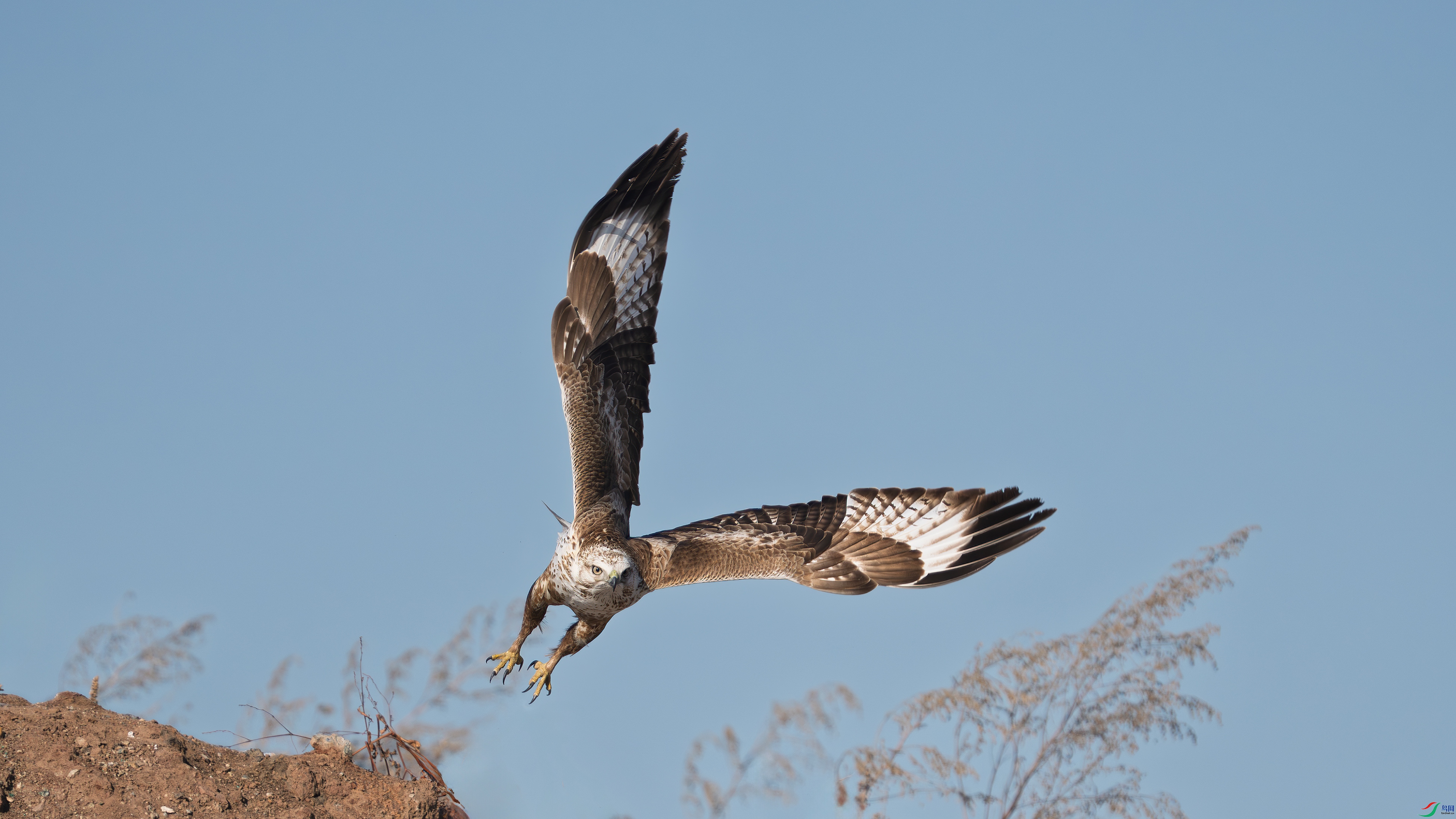 _DSC8760 ����.jpg