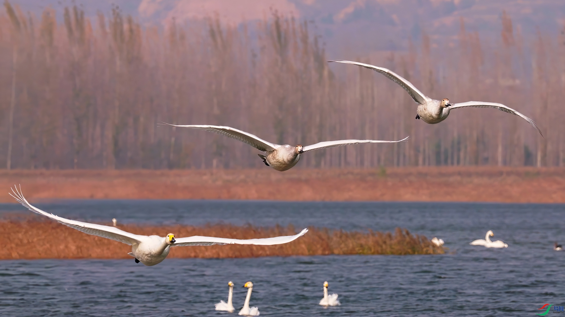 ��֡ 2026-03-29 125746_1.1.jpg