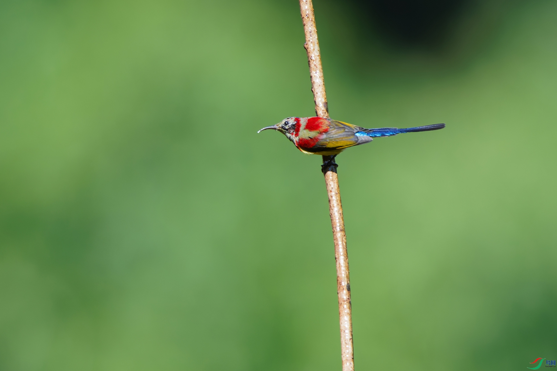DSC_8600_DxO_DxO.jpga.jpg