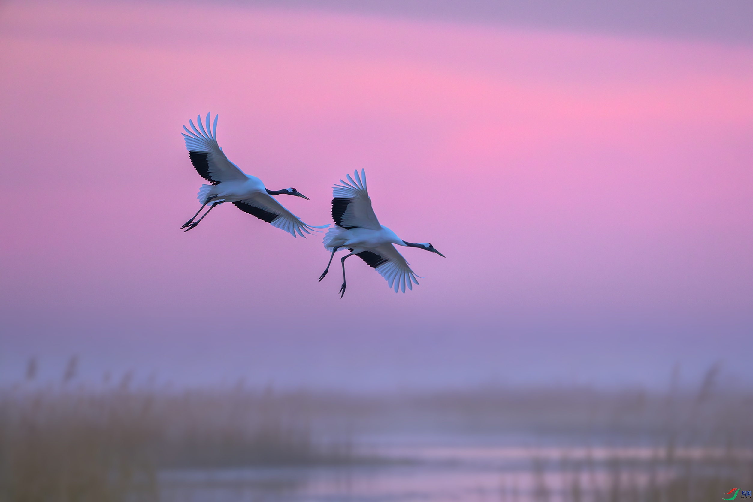 _DSC7694-����ǿ-NR ����С-2 ����.jpg