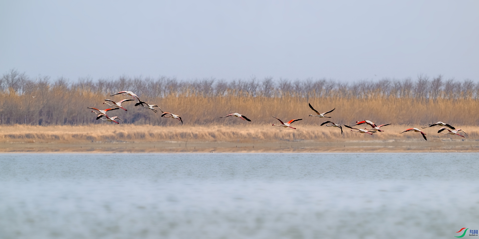 _DSC7953-����ǿ-NR ����С.jpg