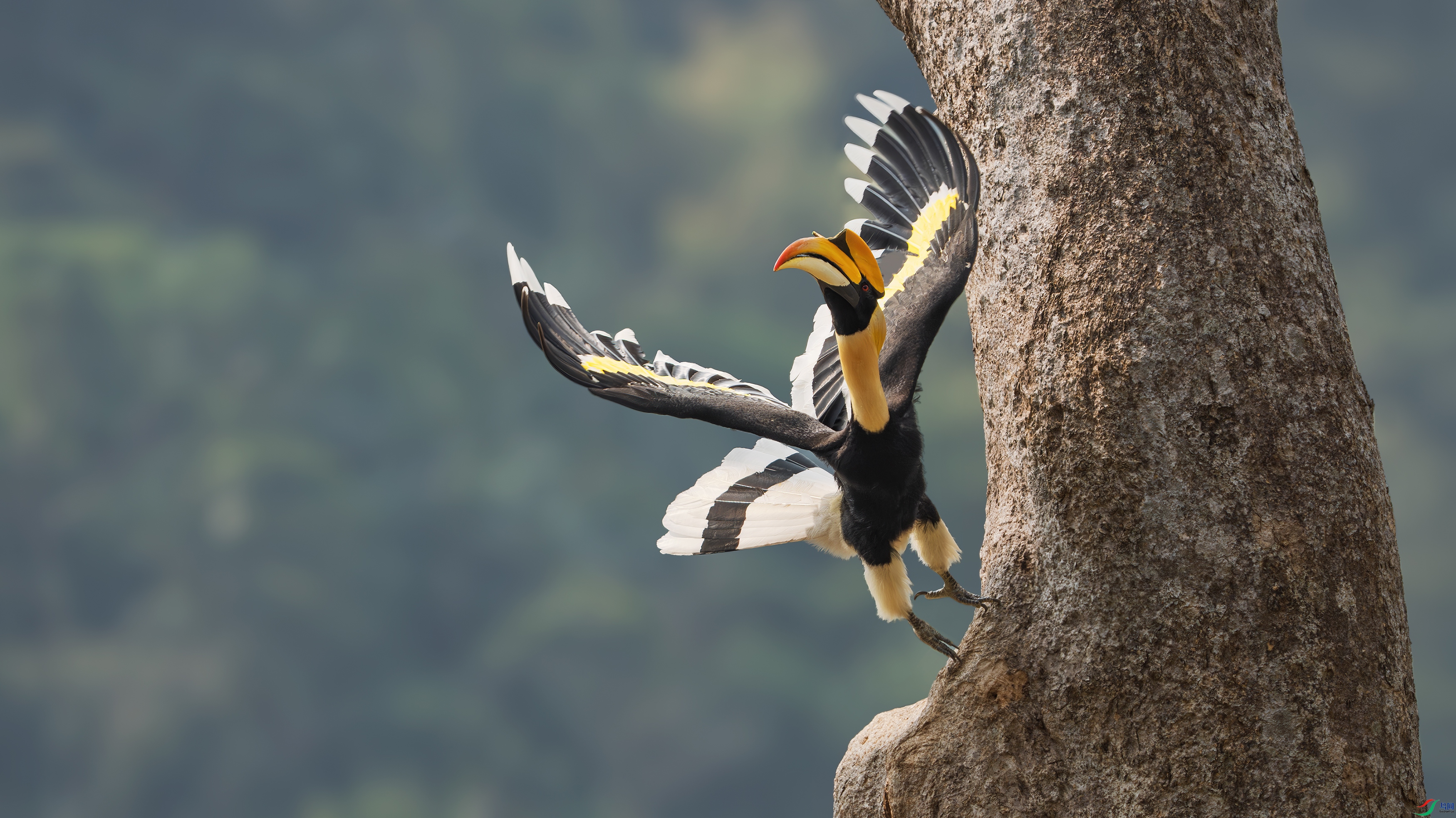 _DSC1685 ����.jpg