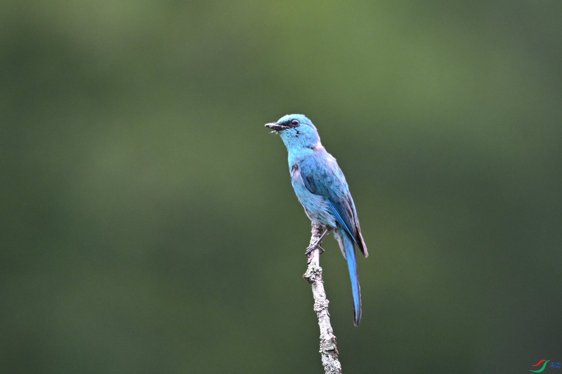 DSC_3155.JPG