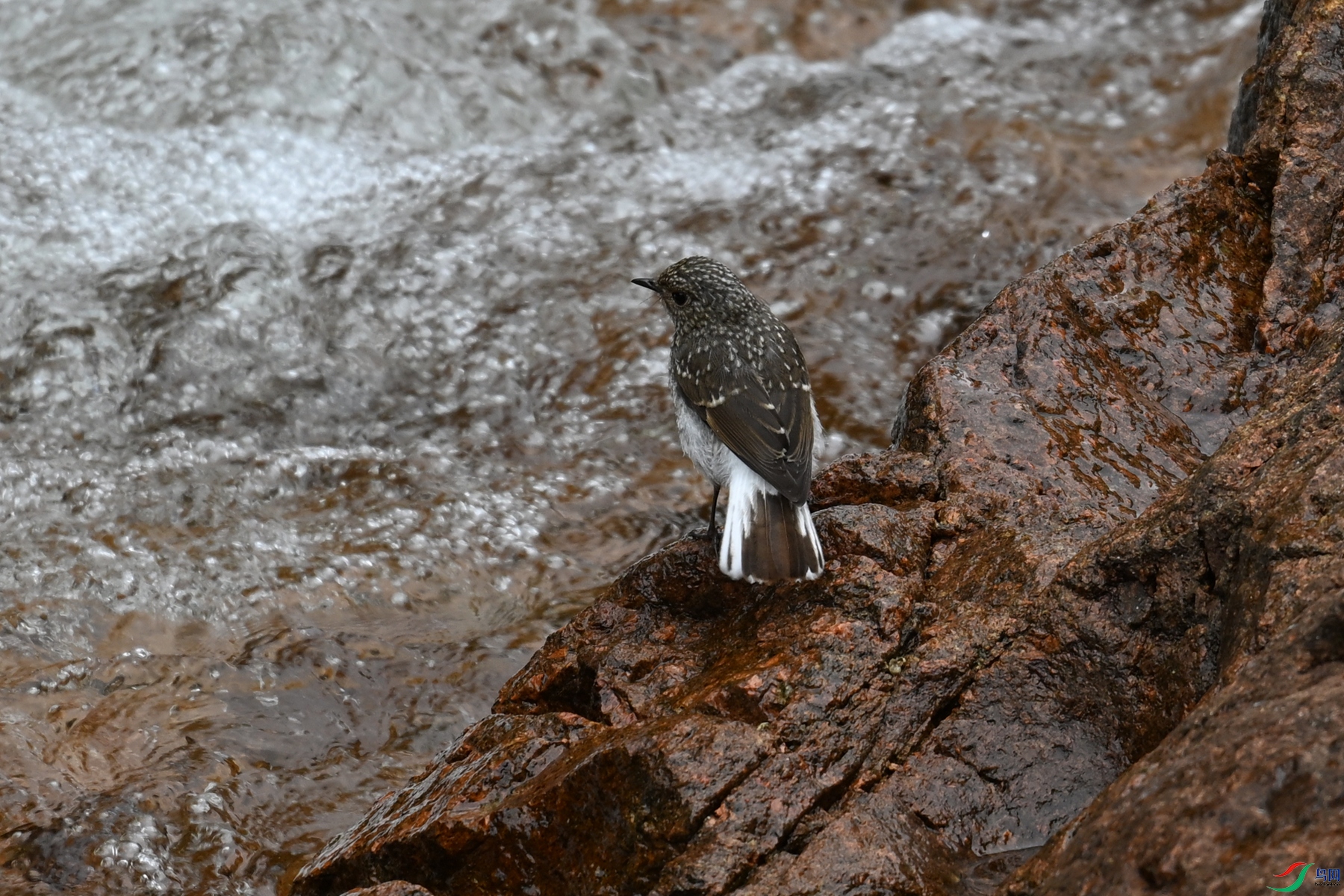 DSC_3259.JPG
