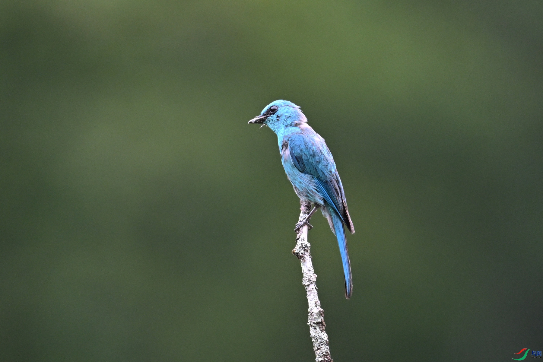 DSC_3158.JPG
