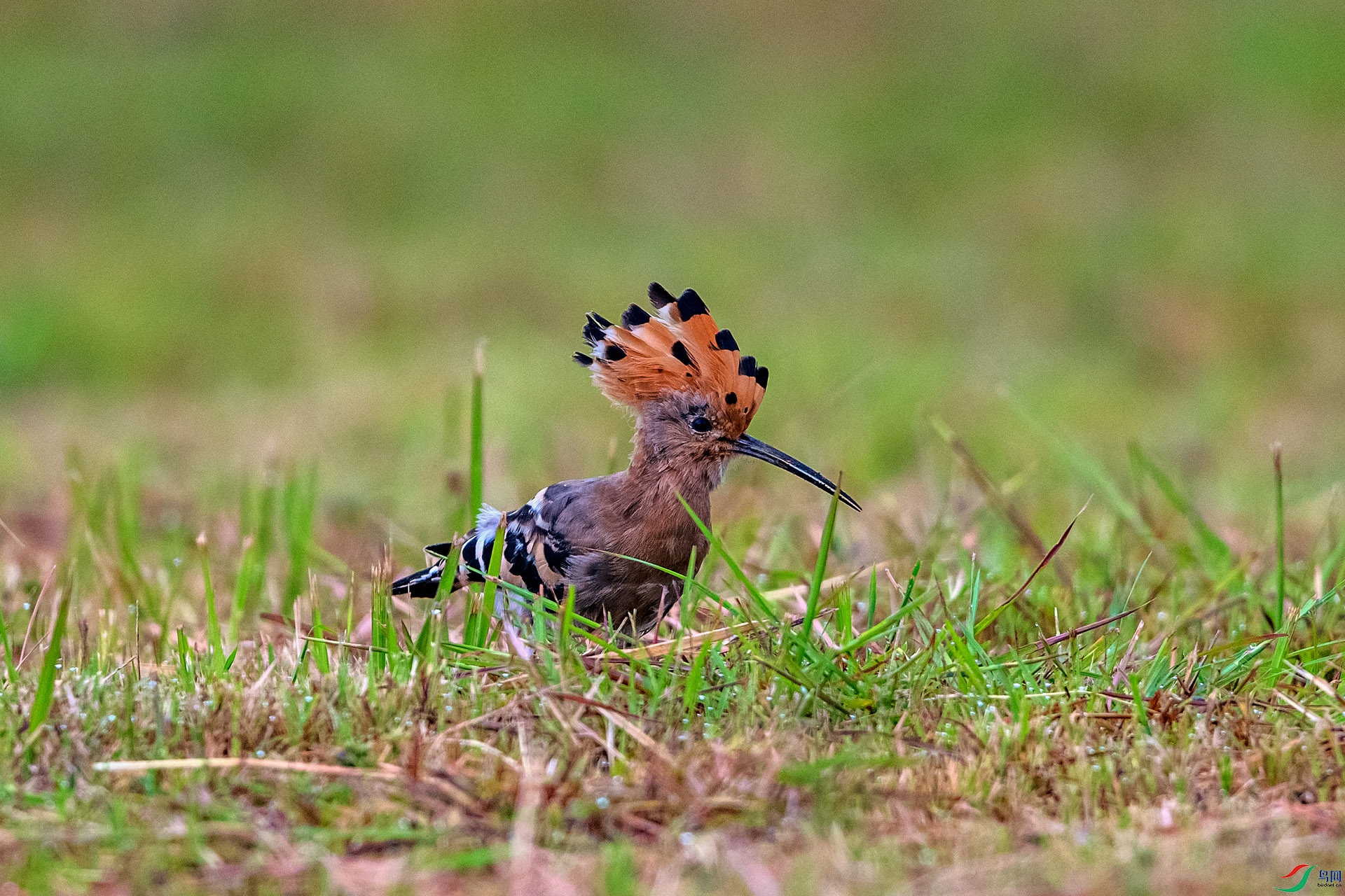 _AUU0129 ��ʤ(25.9.22).jpg