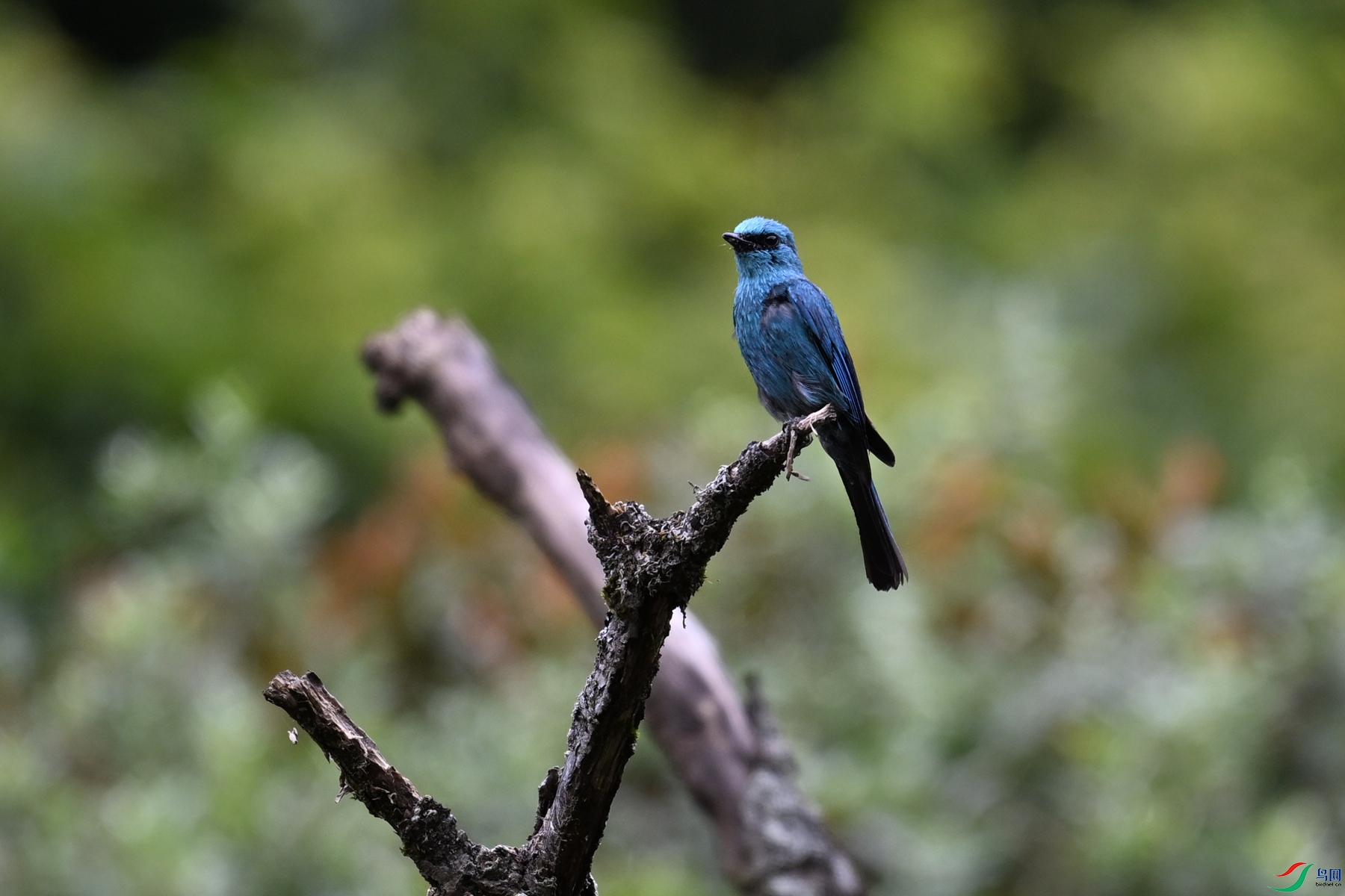 DSC_3249.JPG