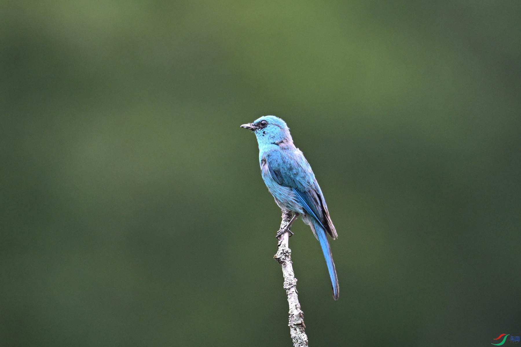 DSC_3160.JPG