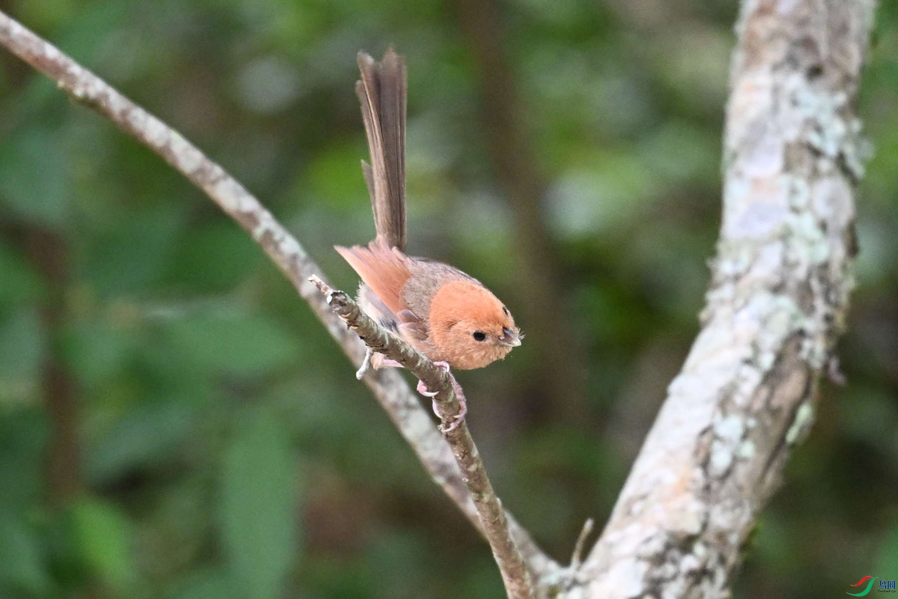 DSC_3219.JPG
