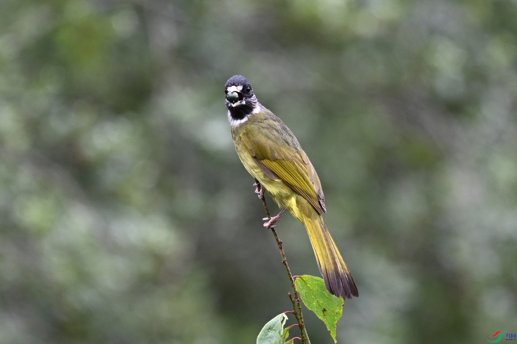 DSC_3247.JPG