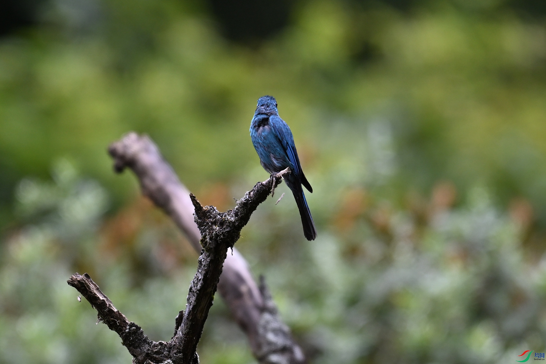 DSC_3253.JPG